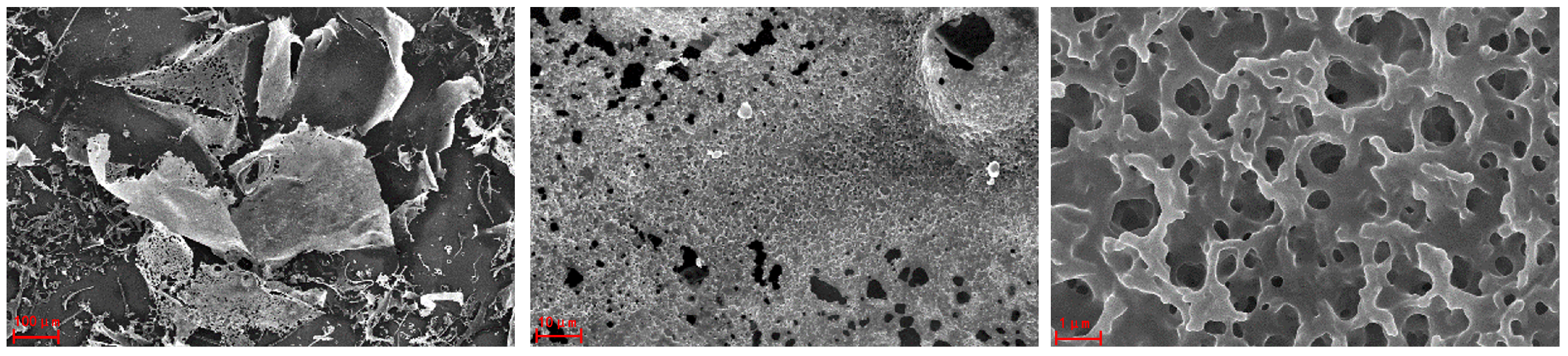 Molecules 29 01810 g005