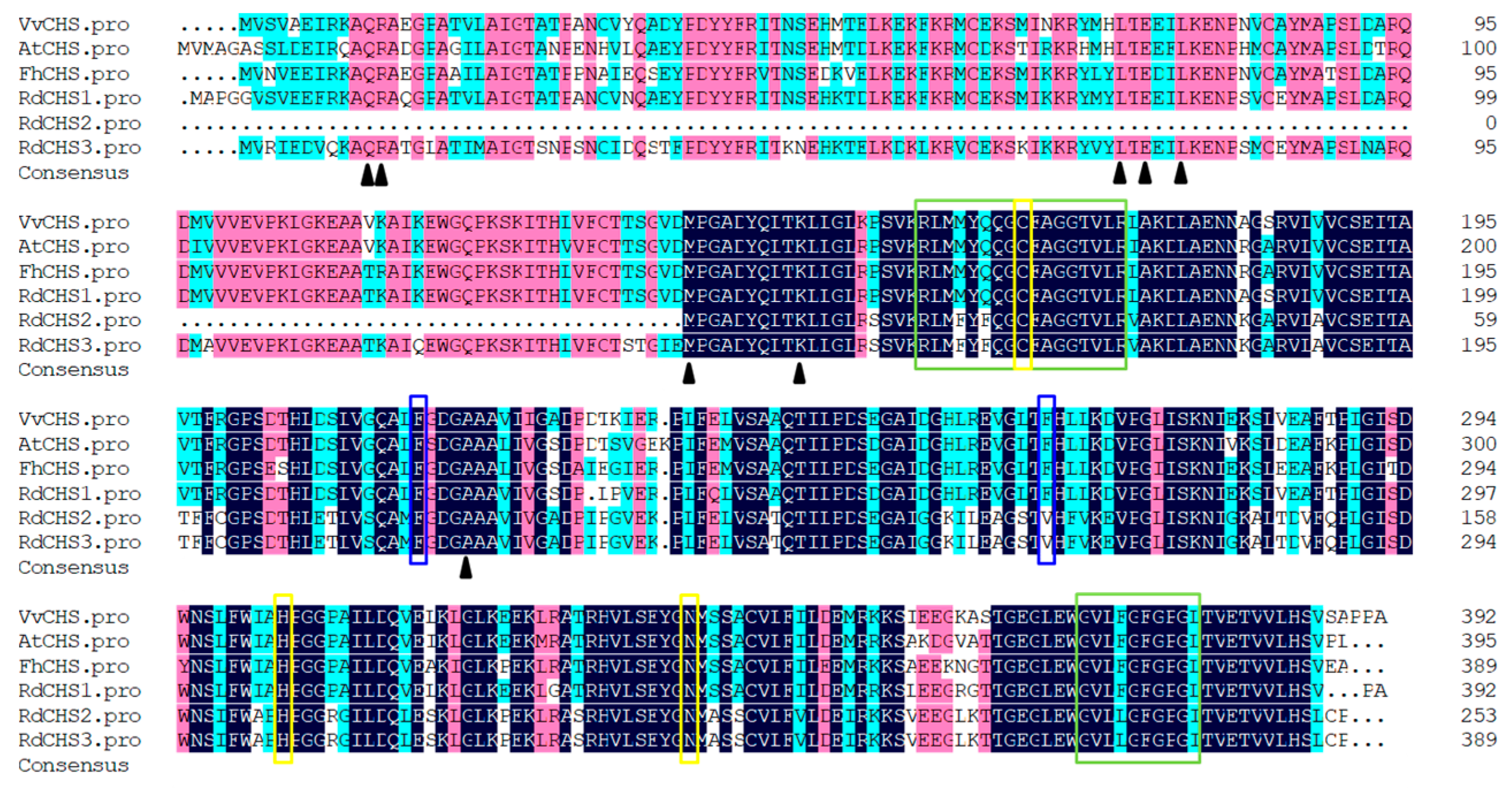 Molecules 29 01822 g001 Molecules 29 01822 g001