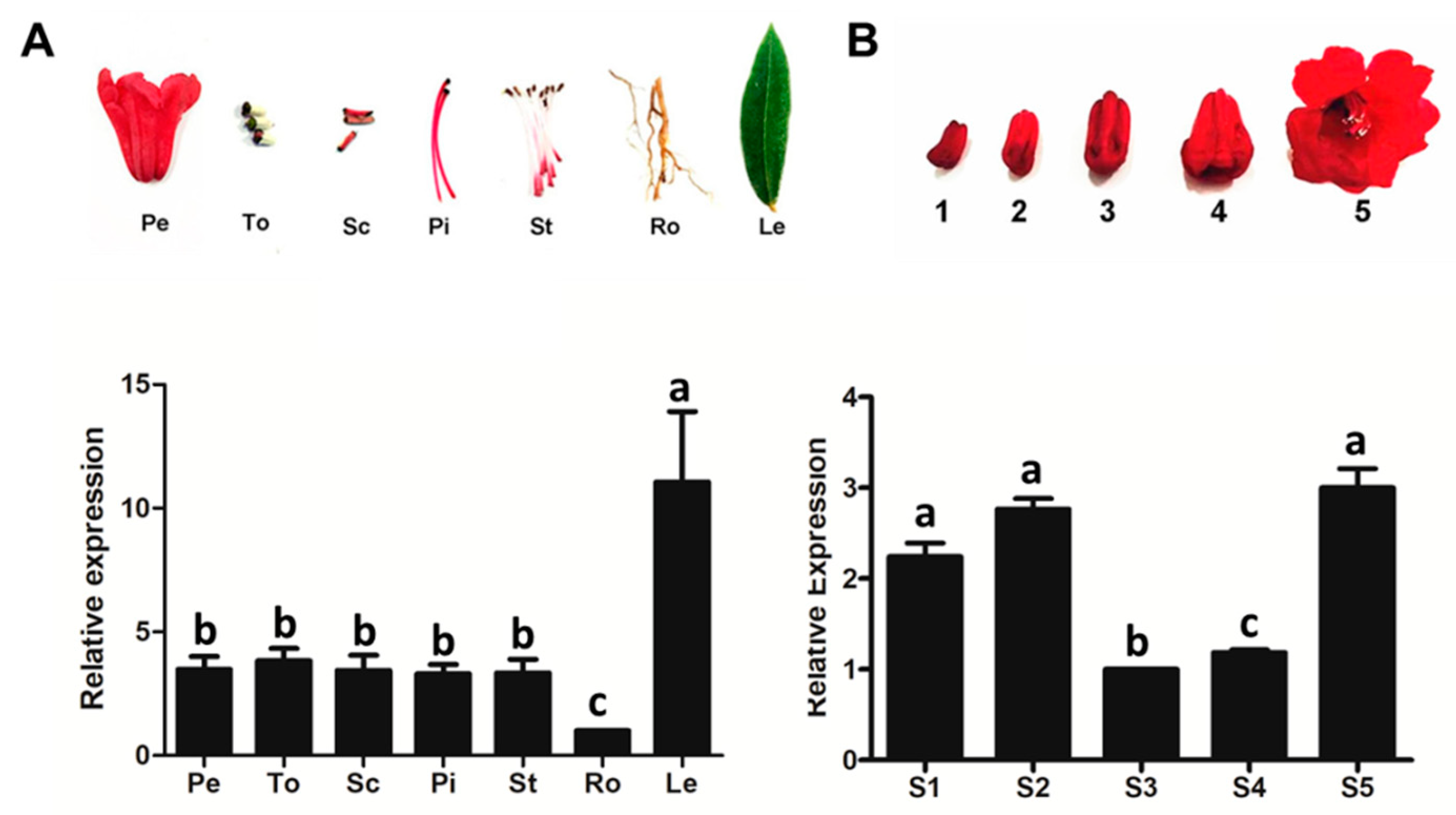 Molecules 29 01822 g003 Molecules 29 01822 g003
