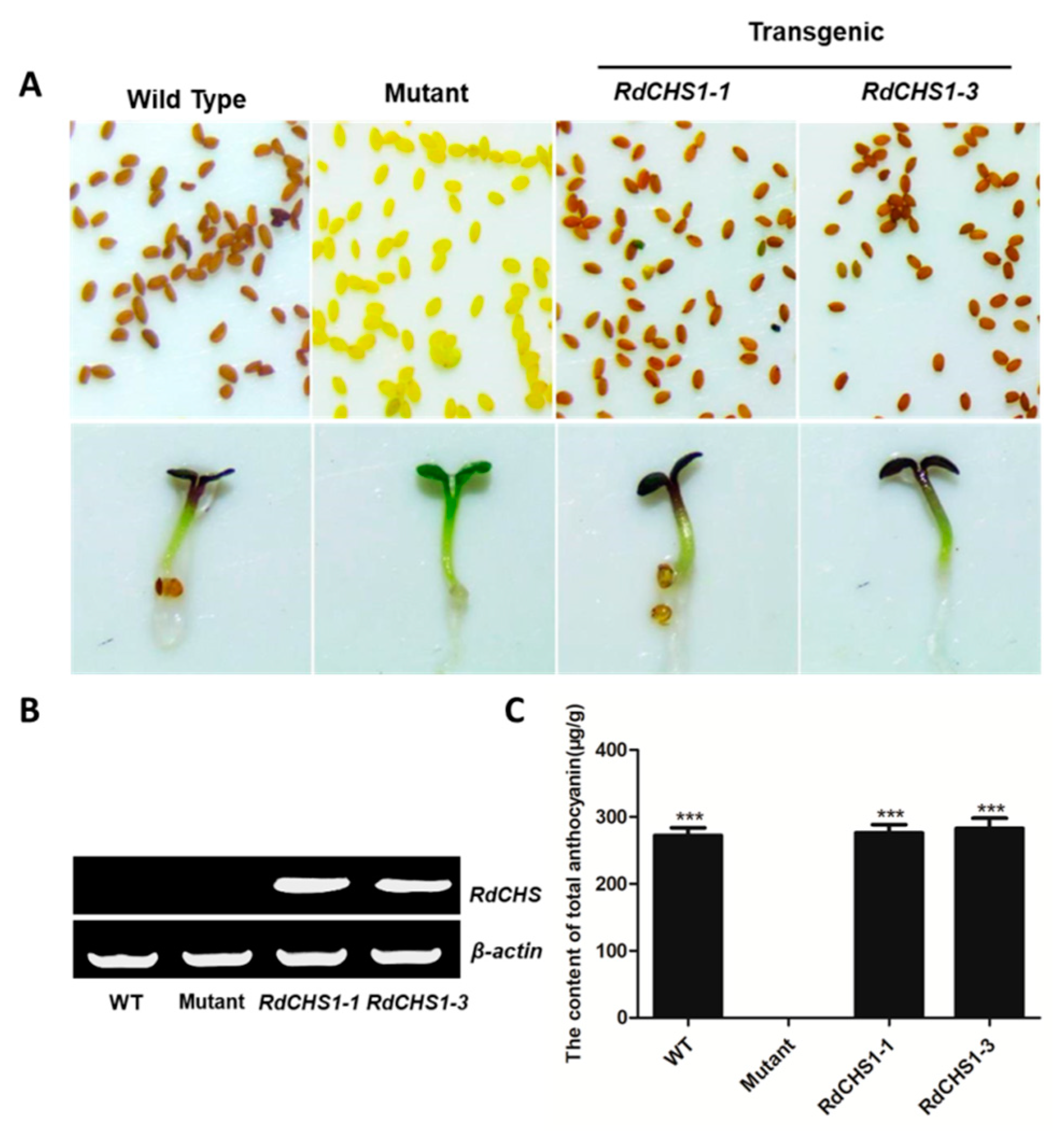 Molecules 29 01822 g005 Molecules 29 01822 g005