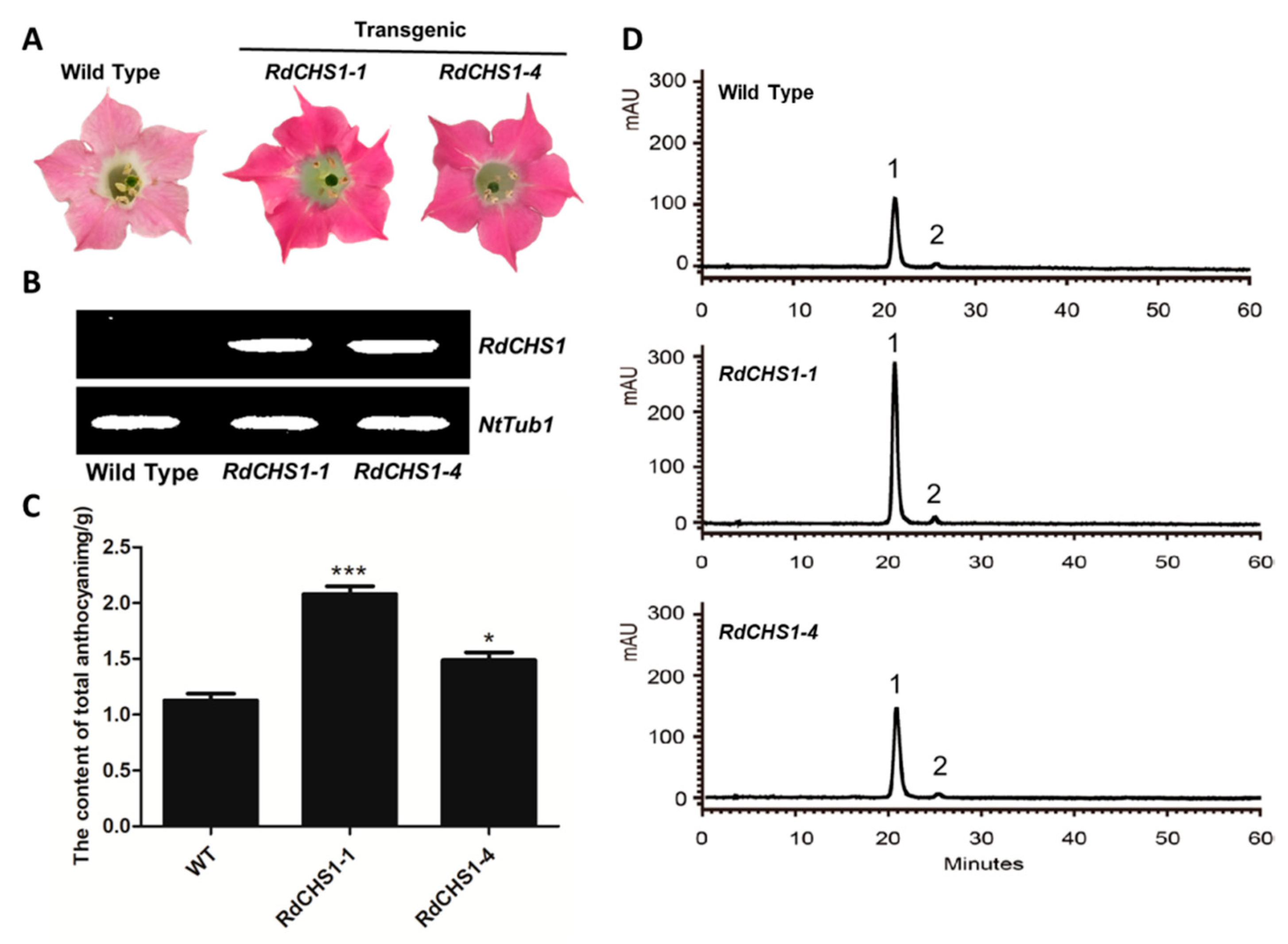 Molecules 29 01822 g007 Molecules 29 01822 g007