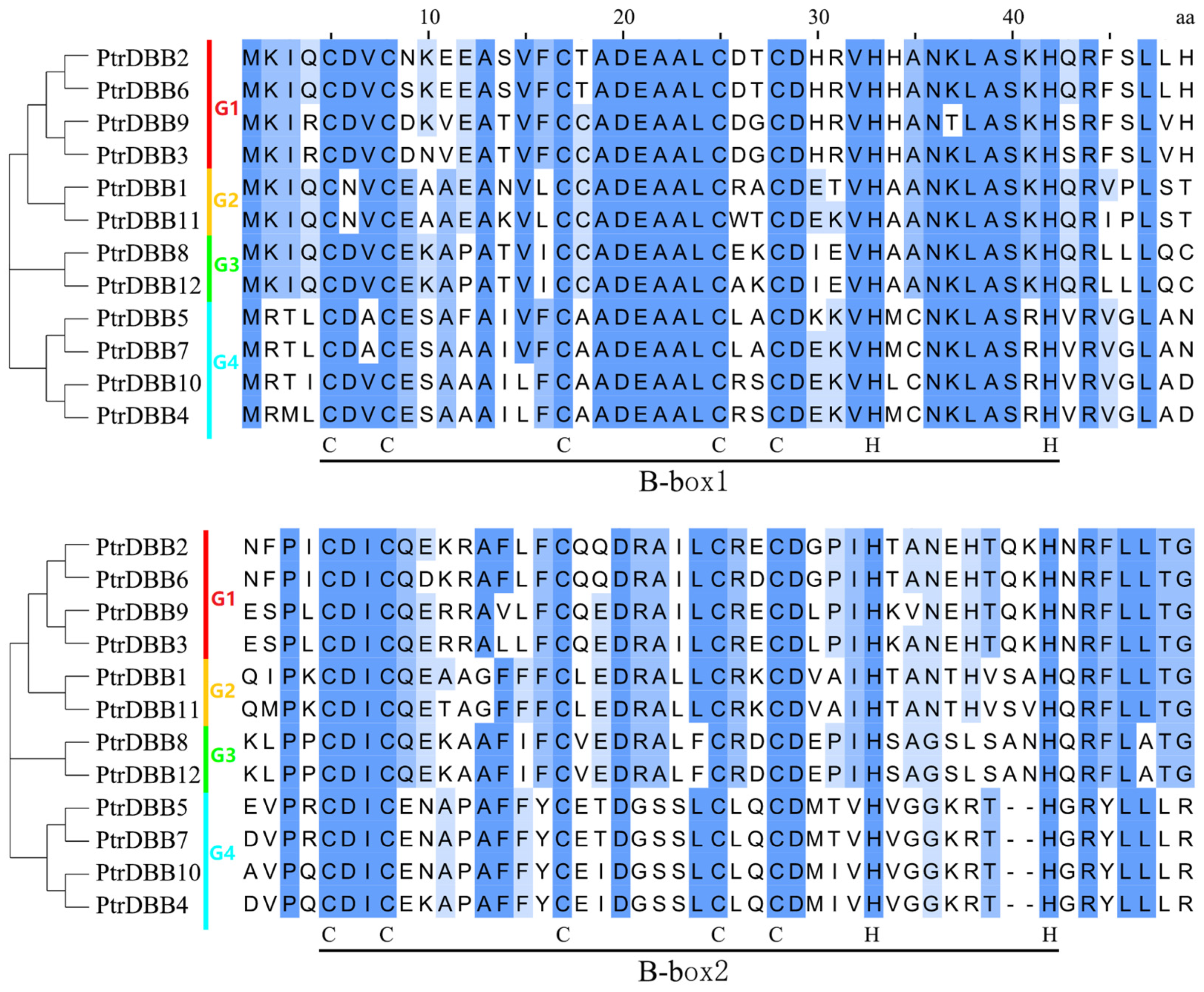 Molecules 29 01823 g001