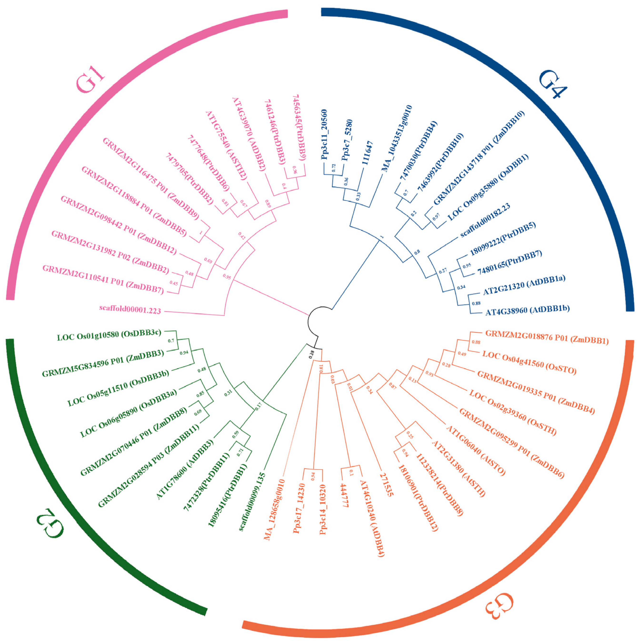 Molecules 29 01823 g002