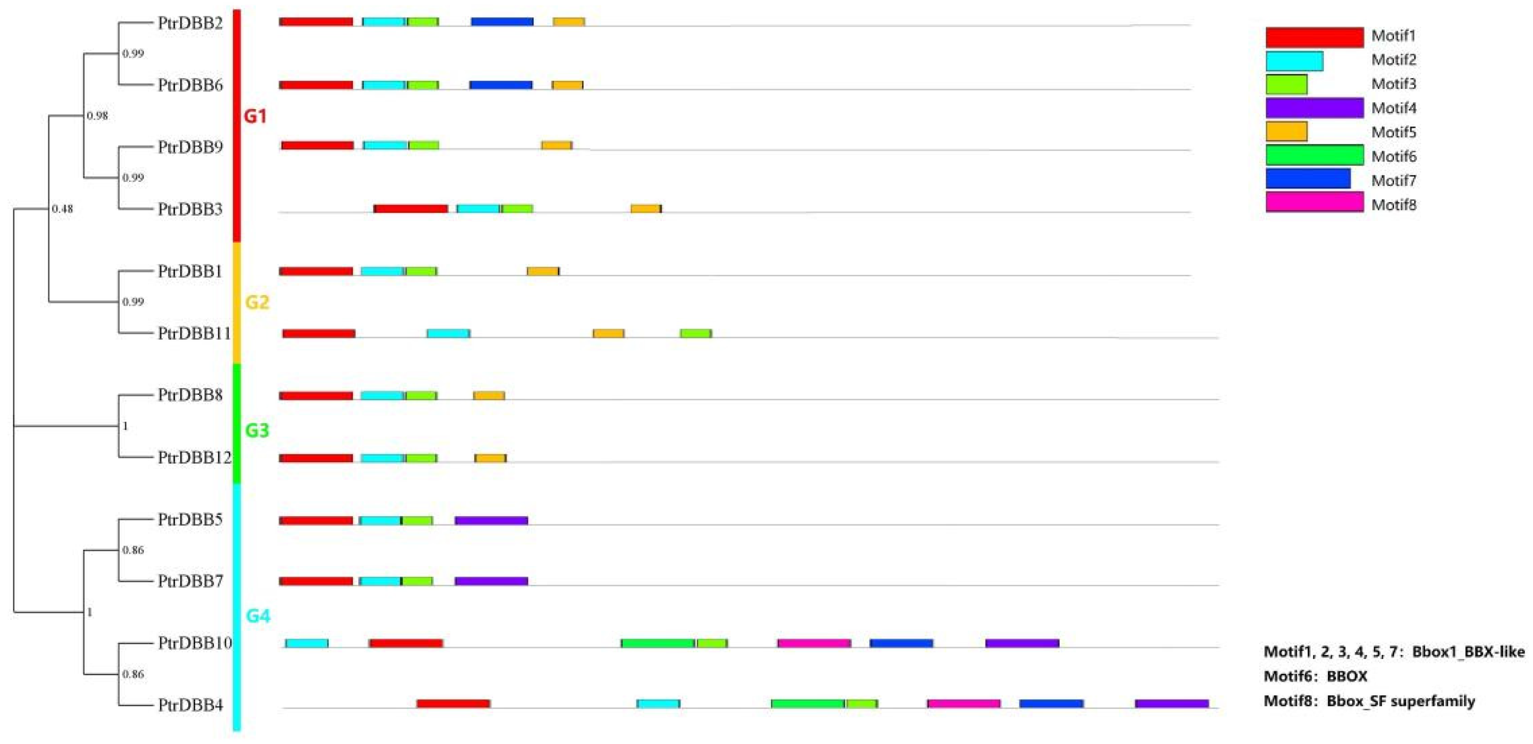 Molecules 29 01823 g004