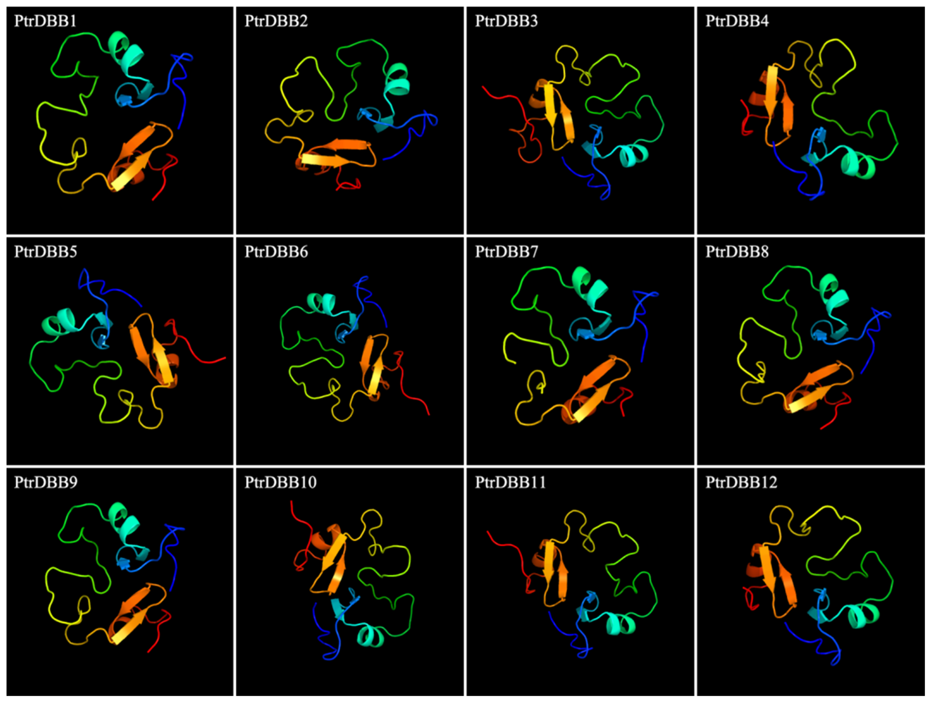Molecules 29 01823 g005