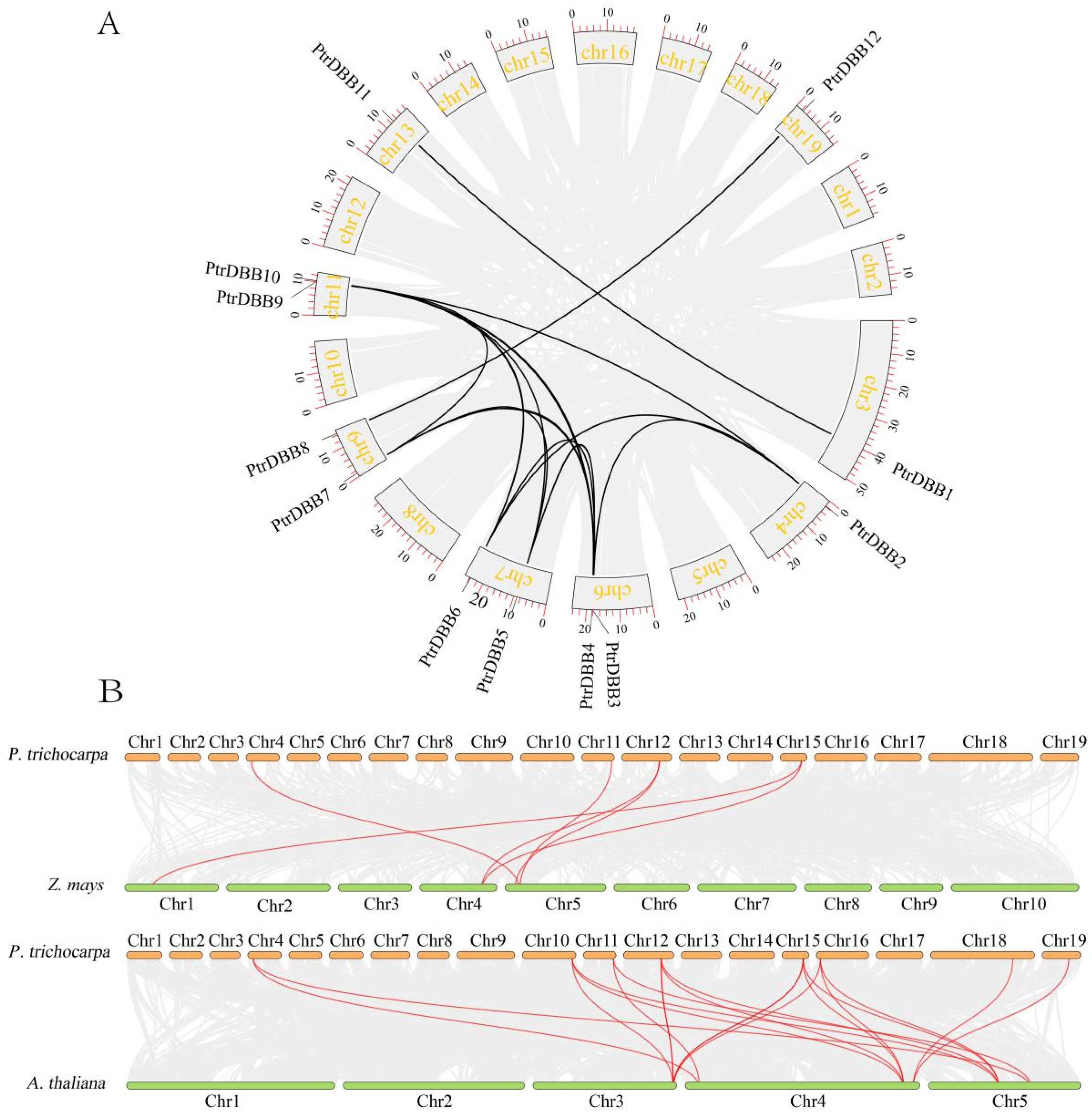 Molecules 29 01823 g007