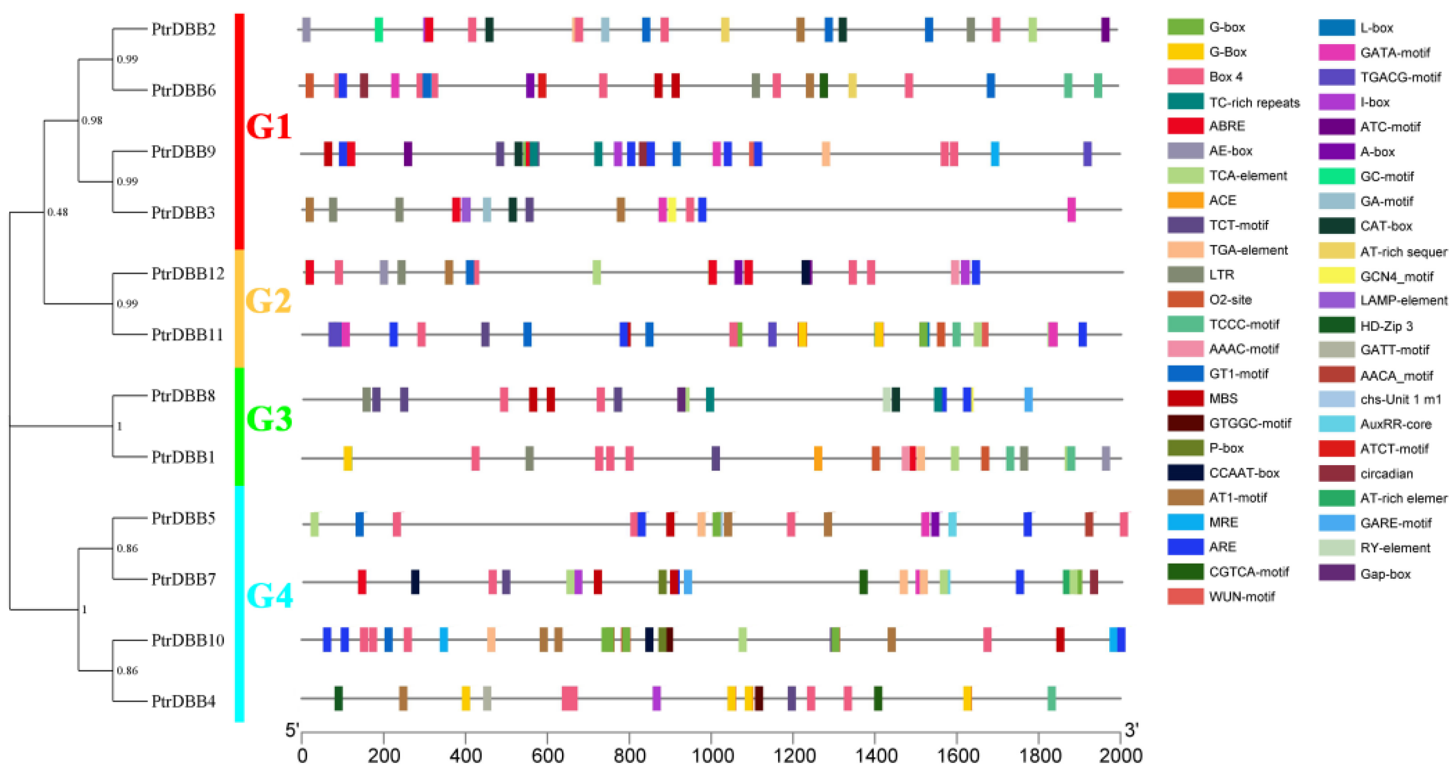 Molecules 29 01823 g010