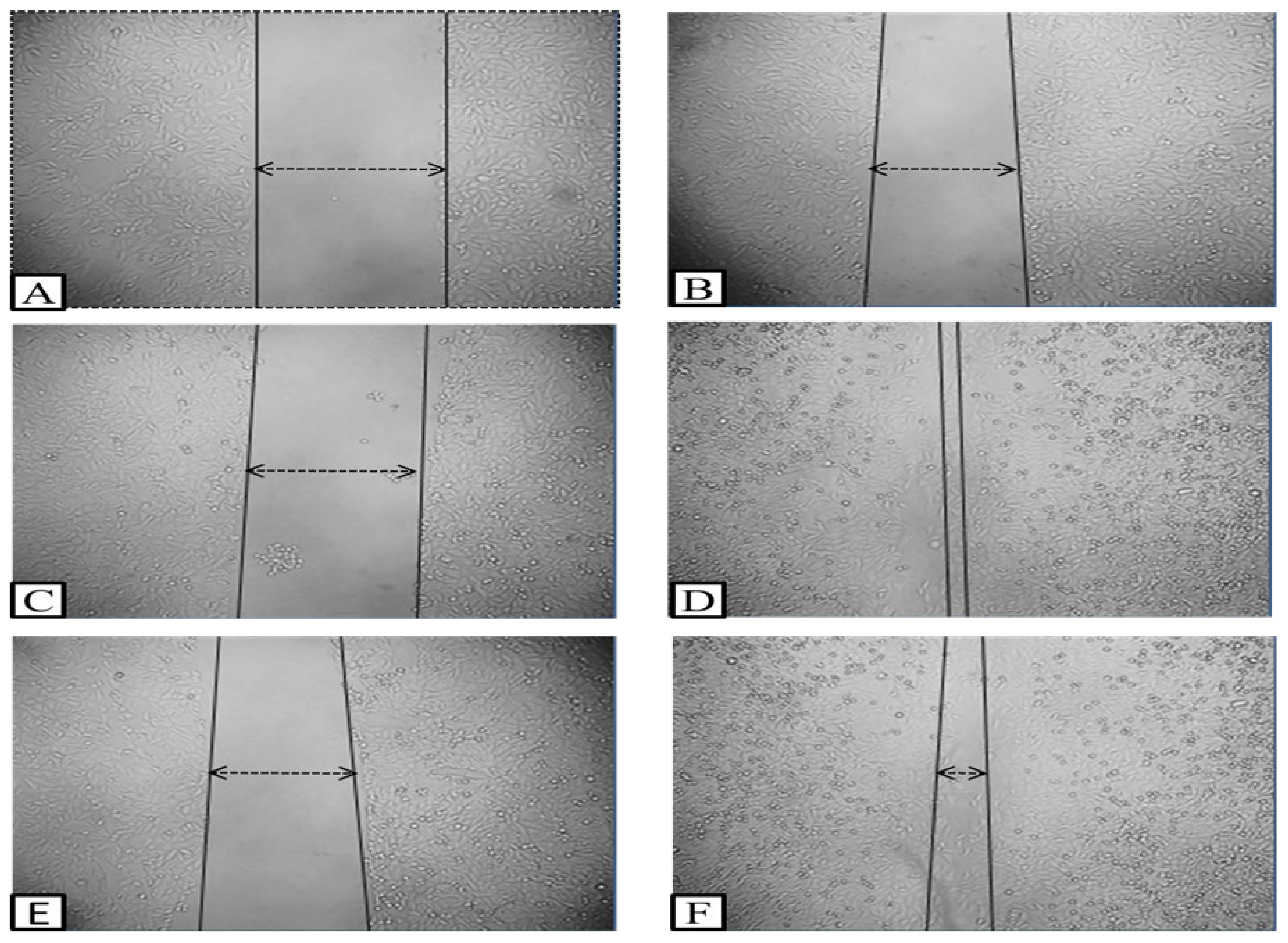Molecules 29 01829 g005