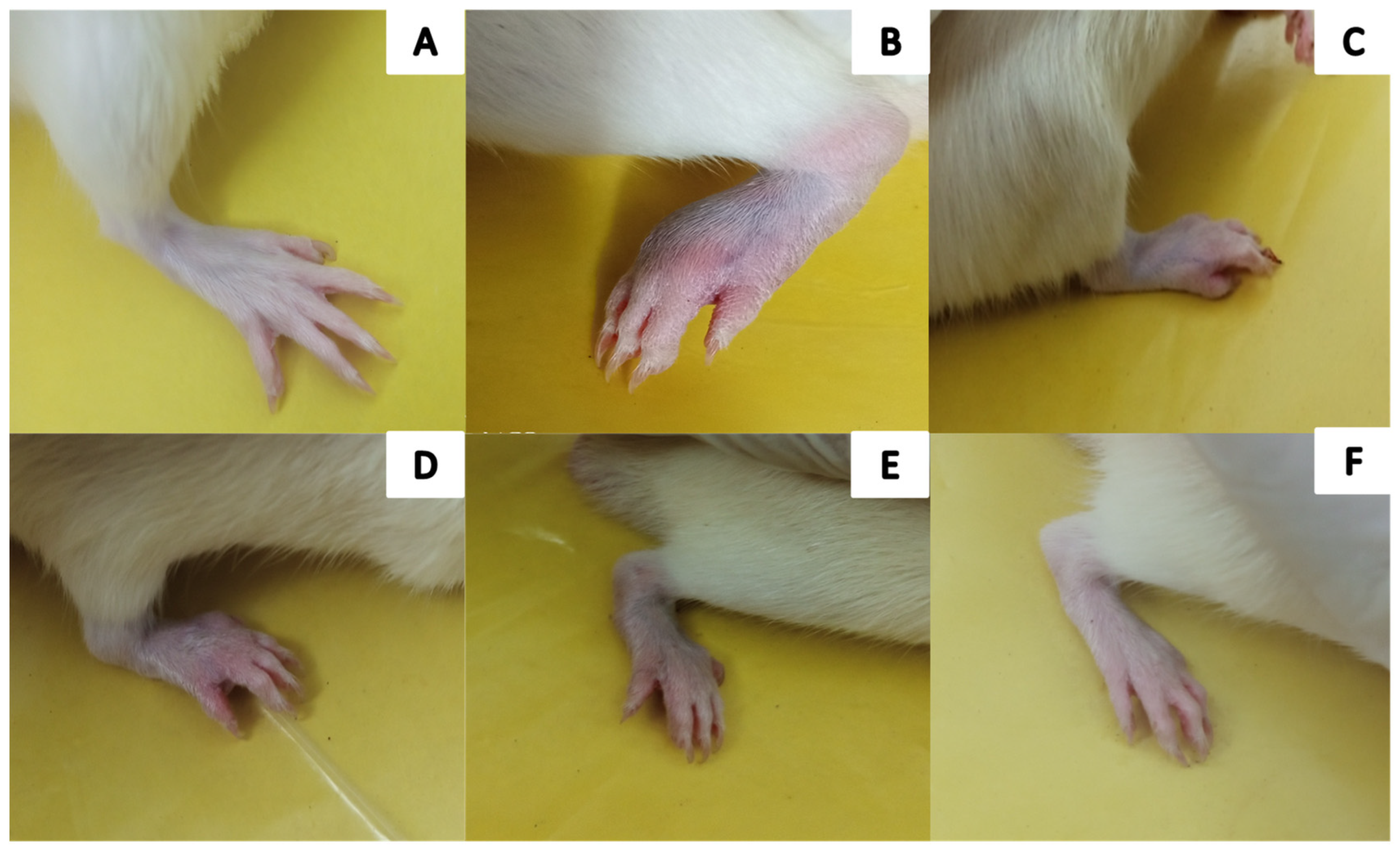 Molecules 29 01830 g007