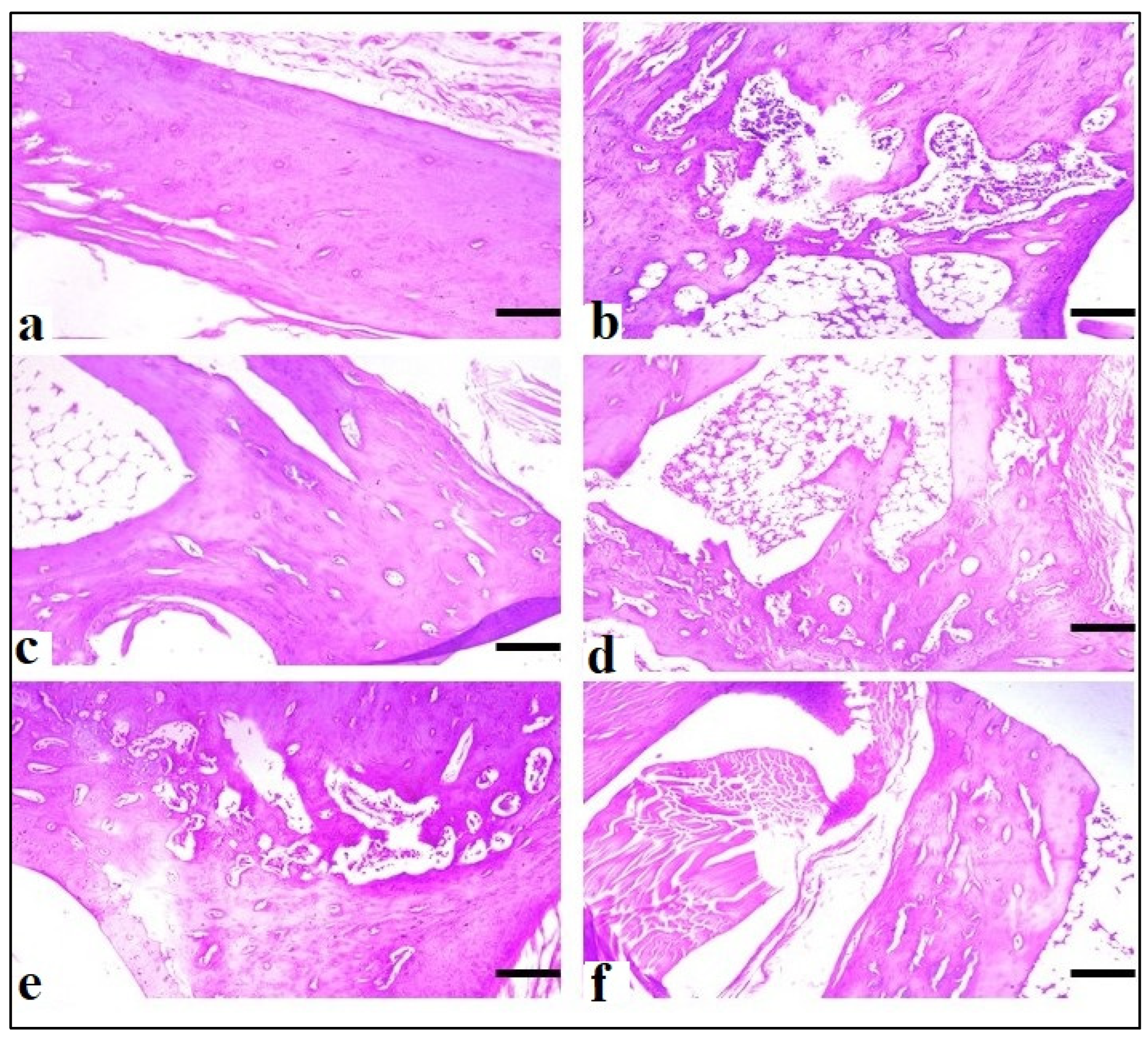 Molecules 29 01830 g014