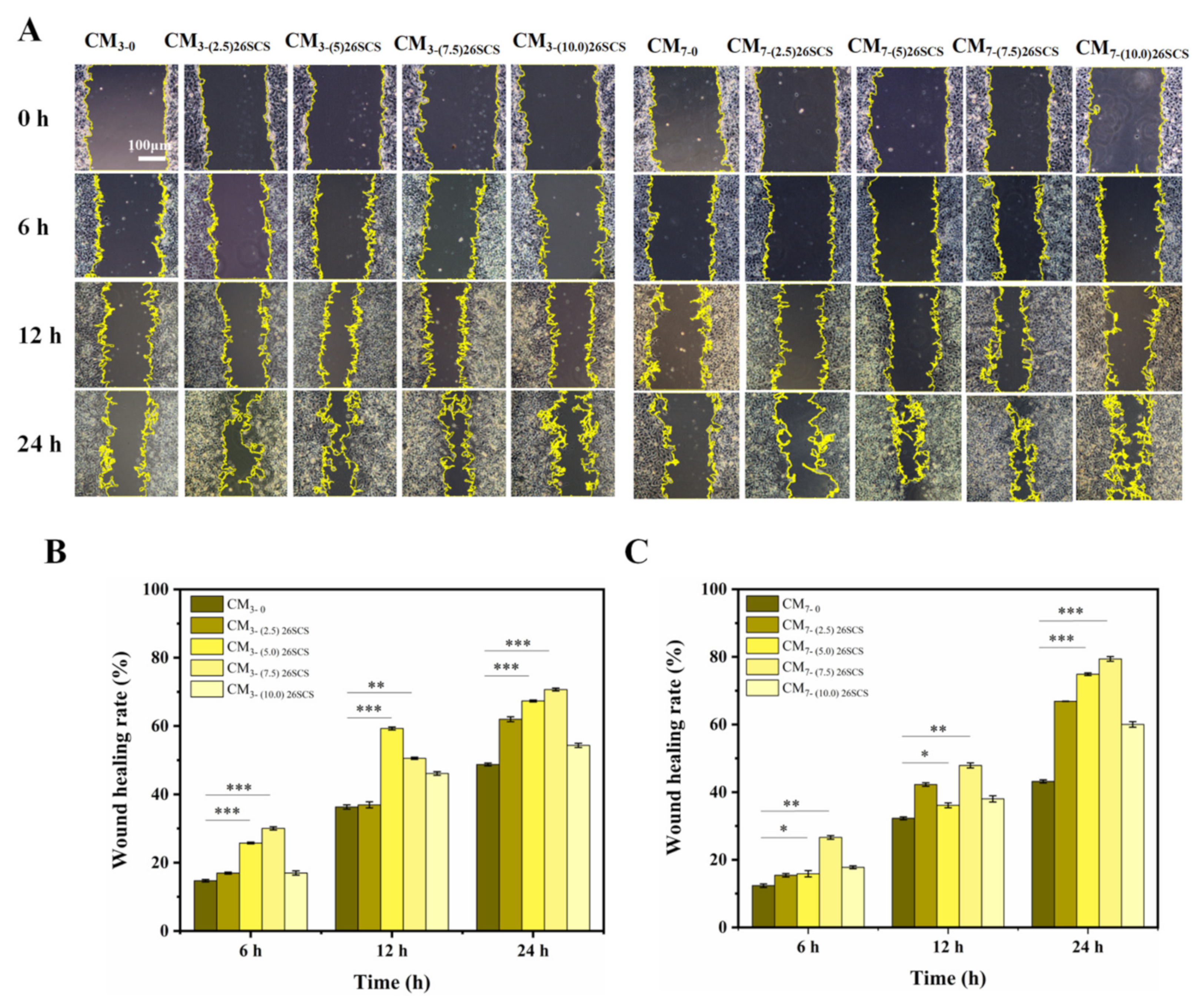 Molecules 29 01832 g007