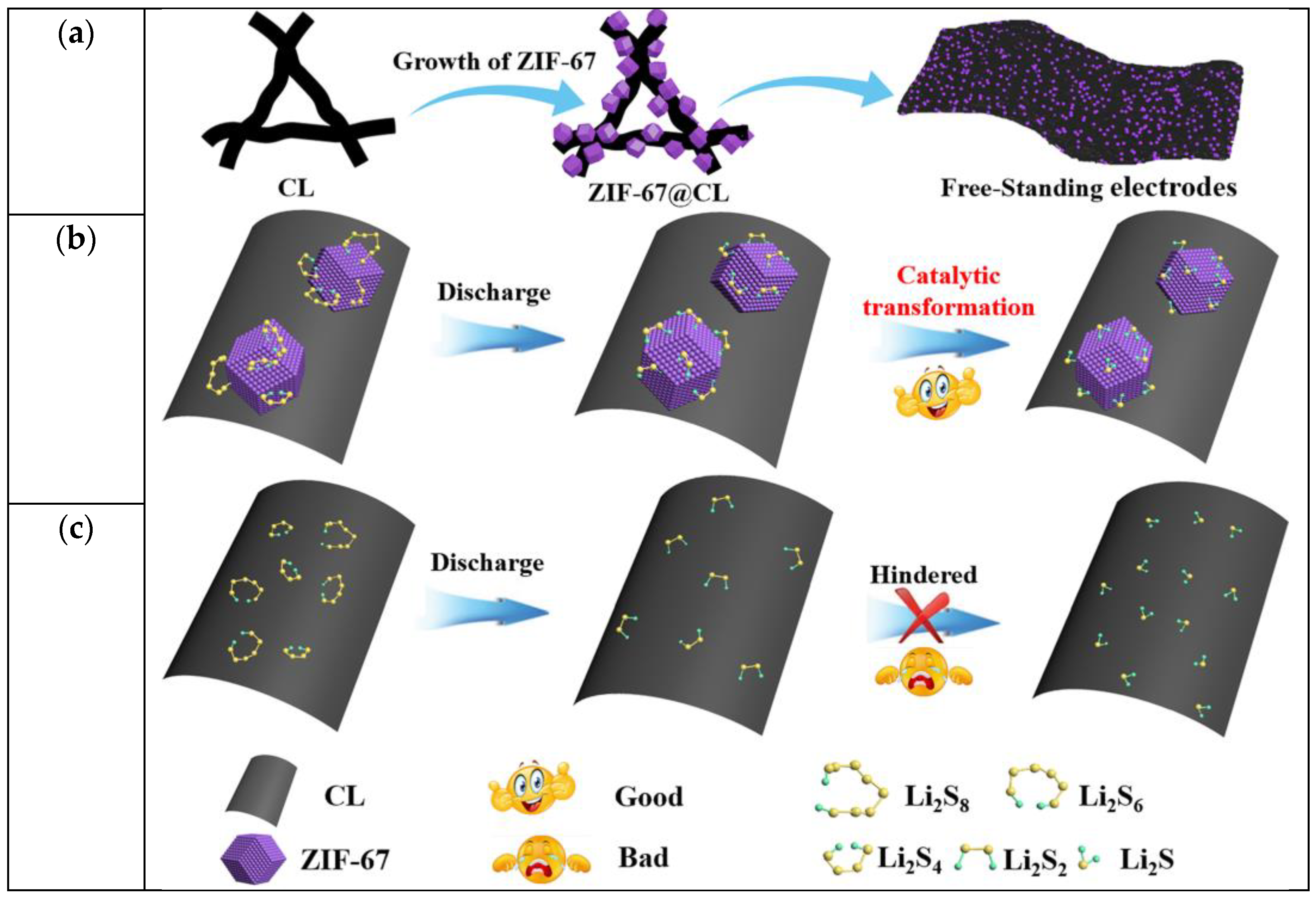 Molecules 29 01833 g001