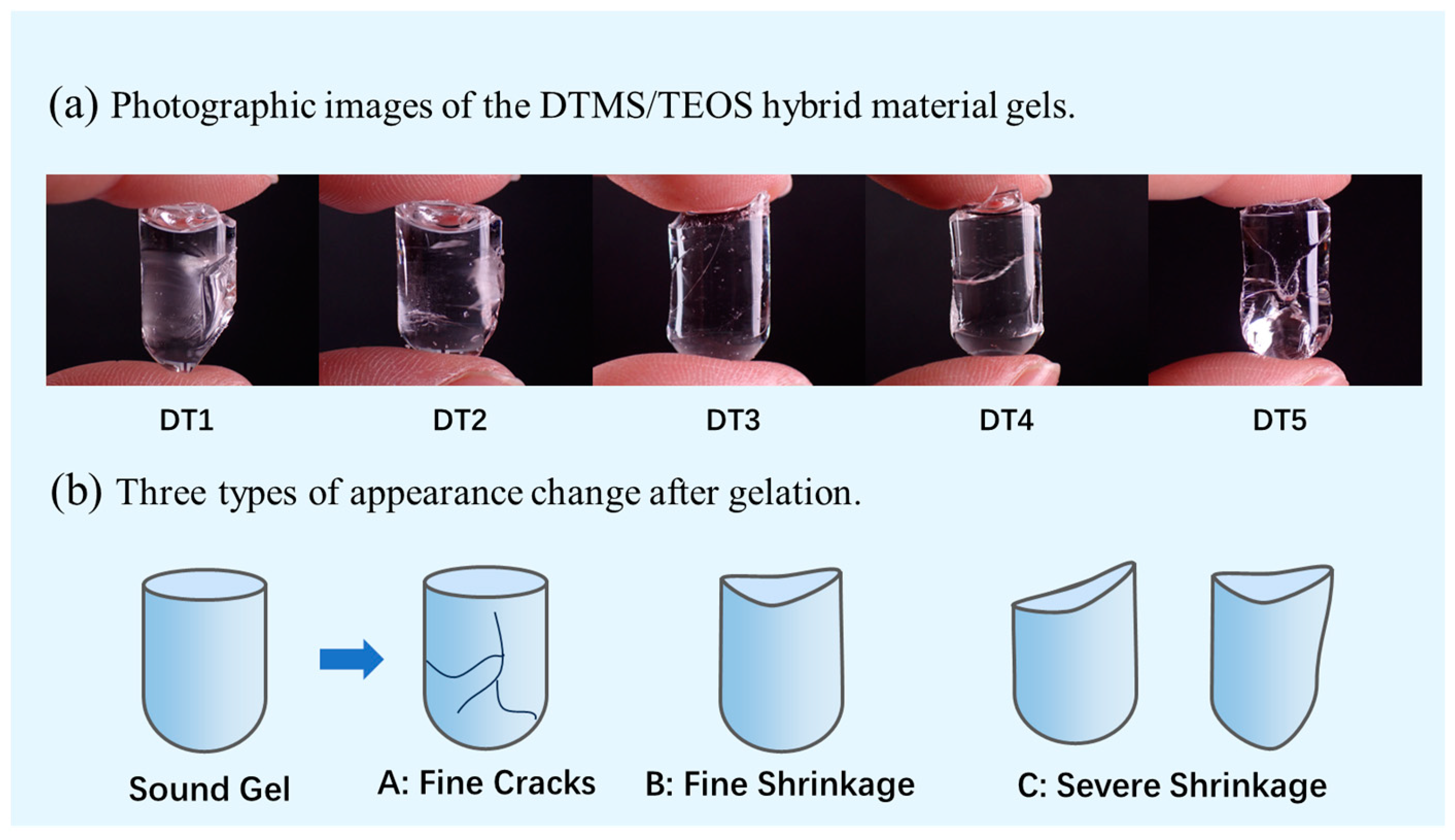 Molecules 29 01834 g001