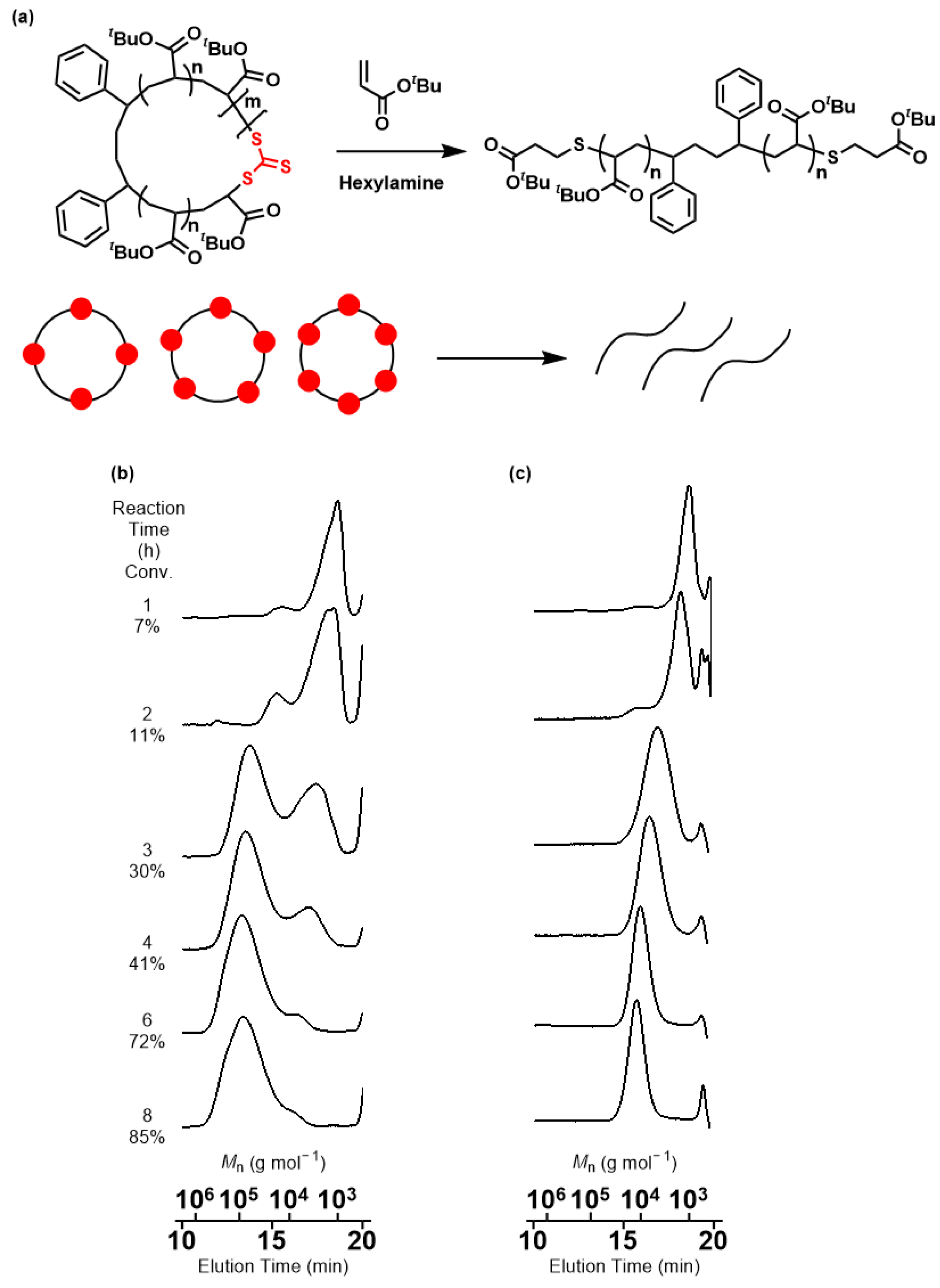 Molecules 29 01839 g002
