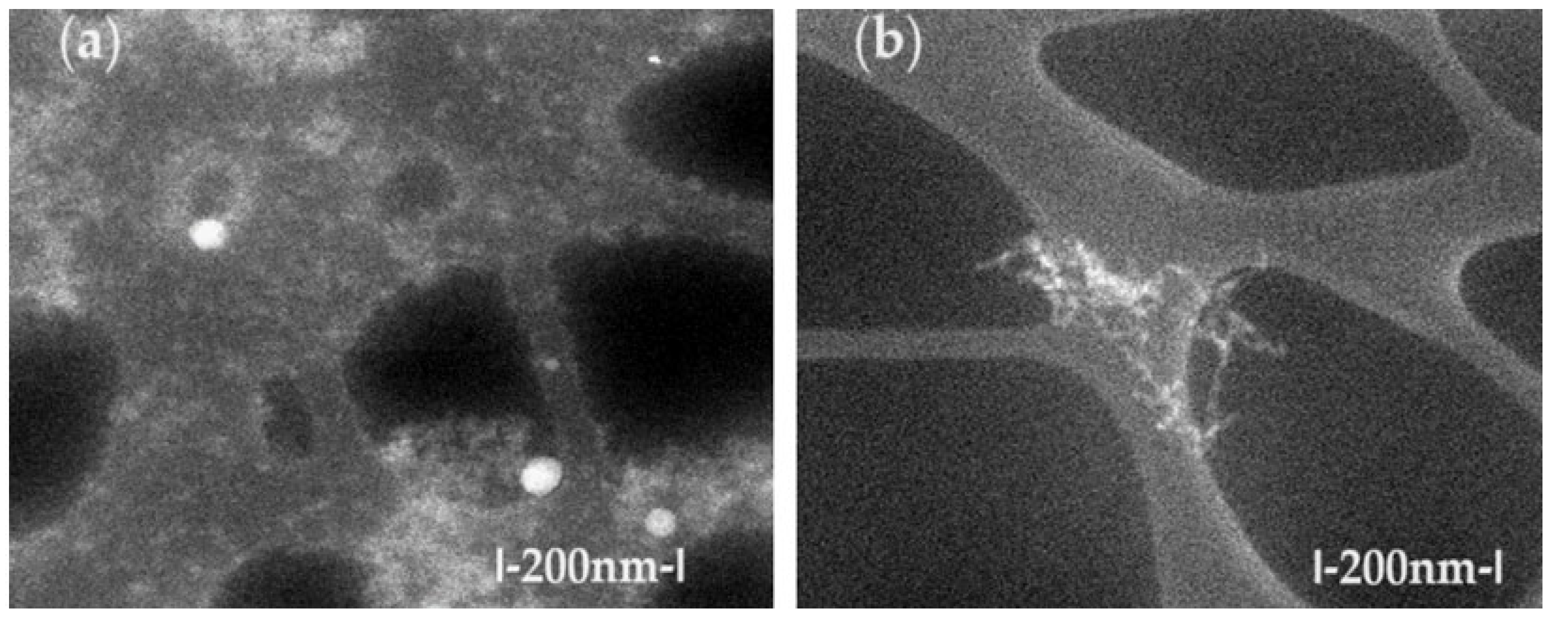 Molecules 29 01842 g002