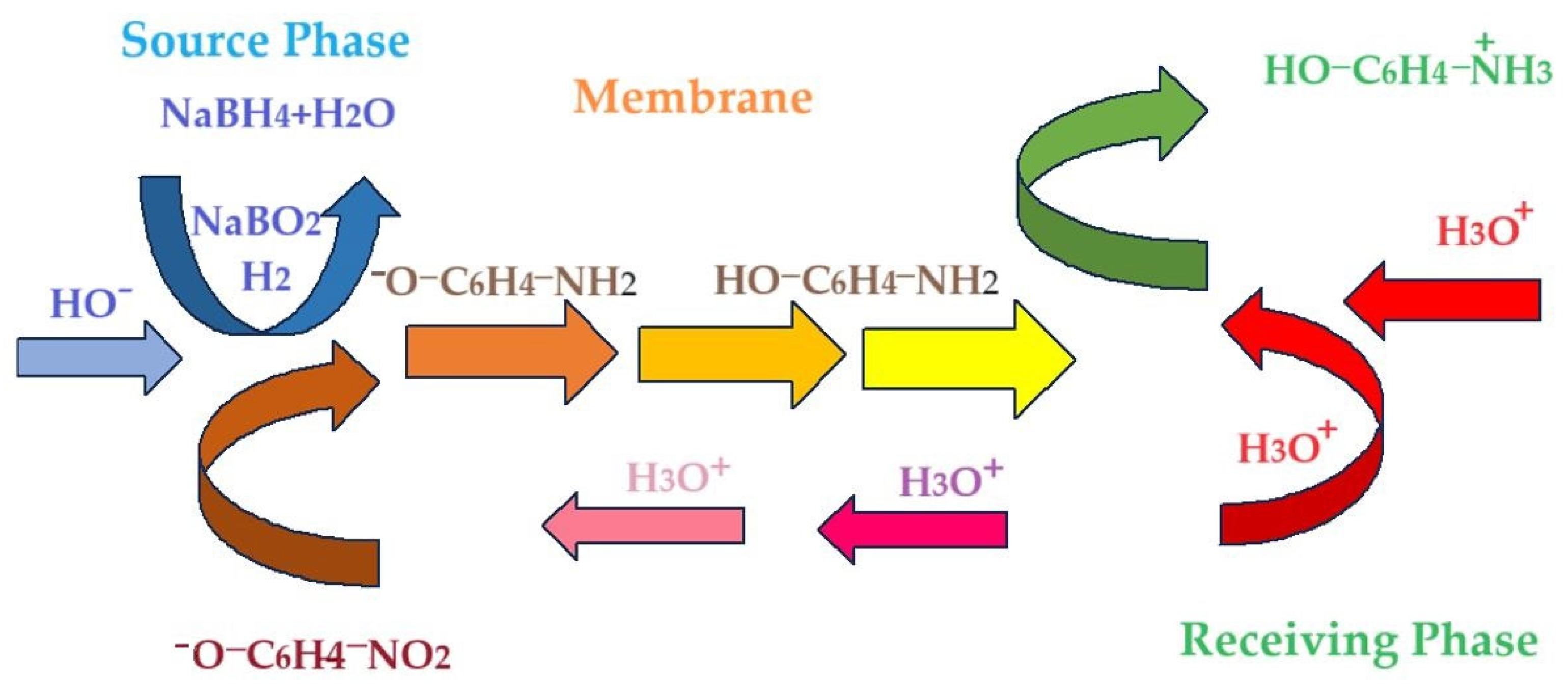 Molecules 29 01842 g013