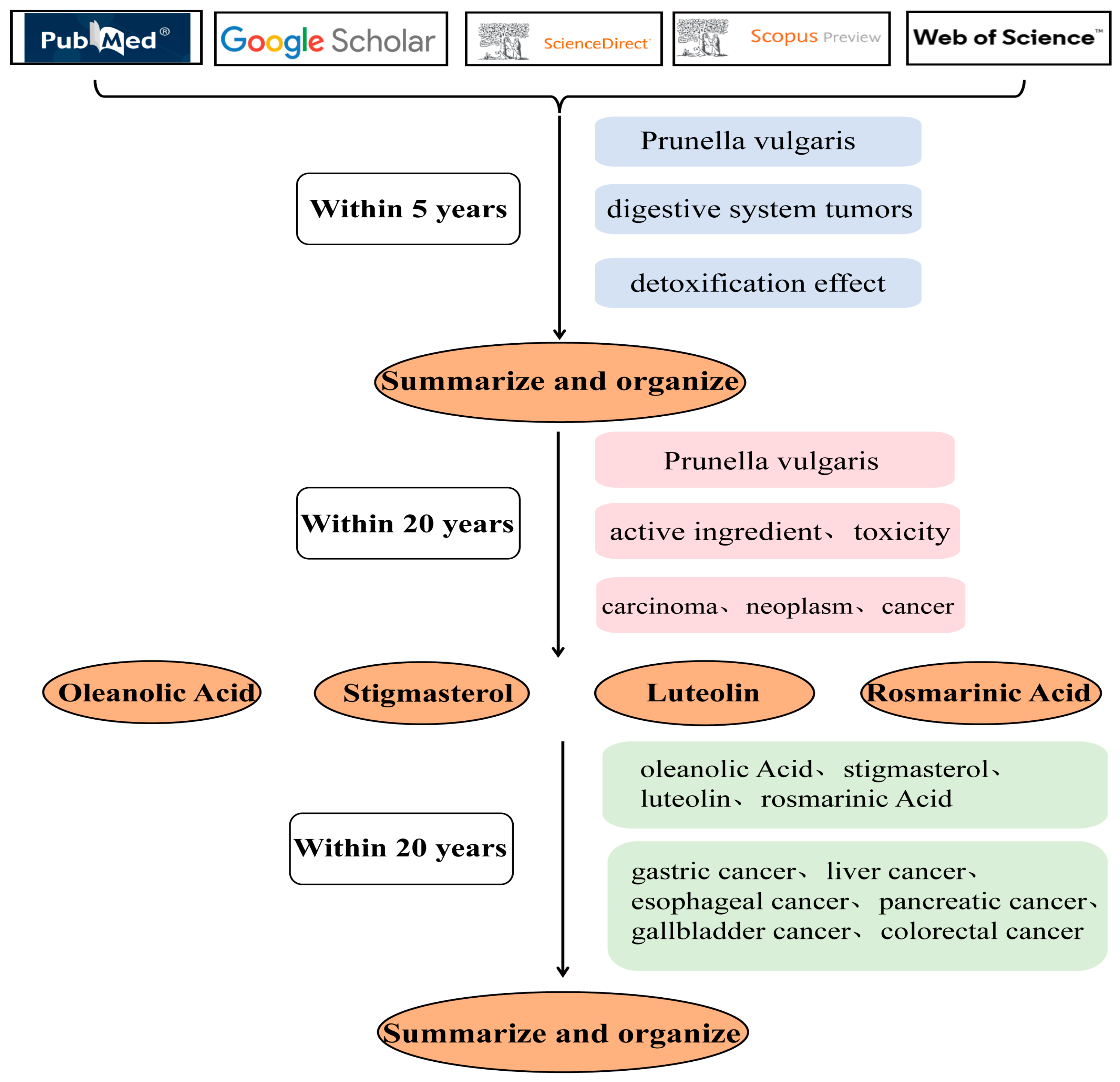 Molecules 29 01843 g001