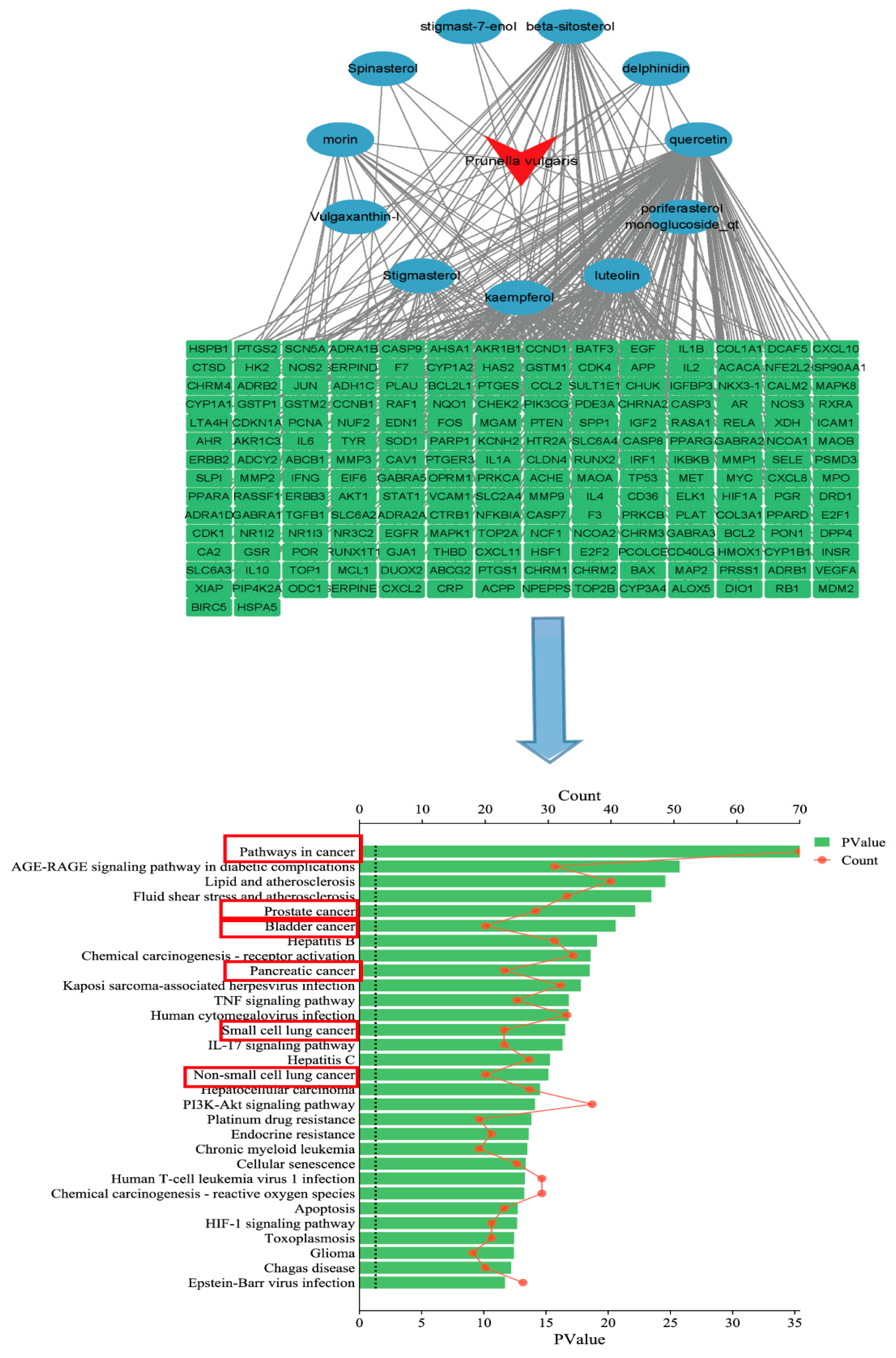 Molecules 29 01843 g002