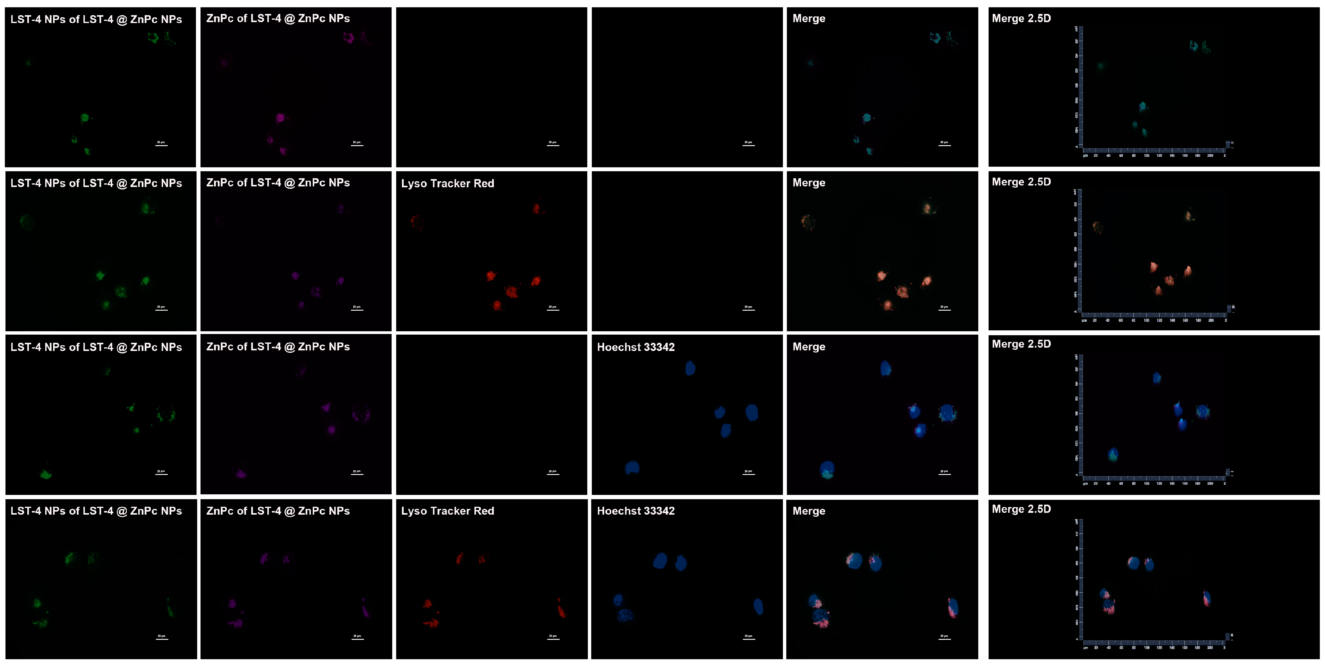 Molecules 29 01845 g007
