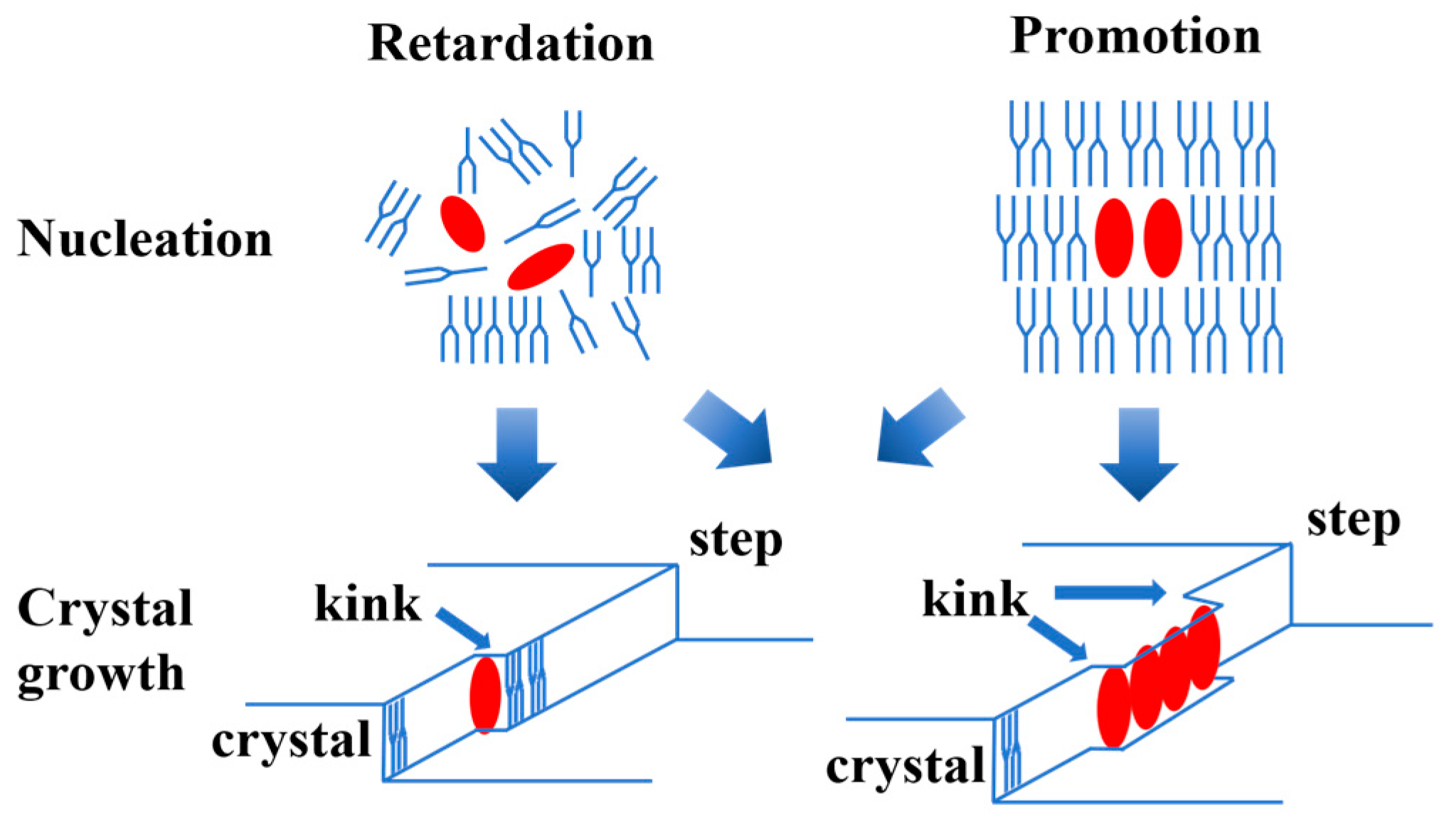 Molecules 29 01847 g003