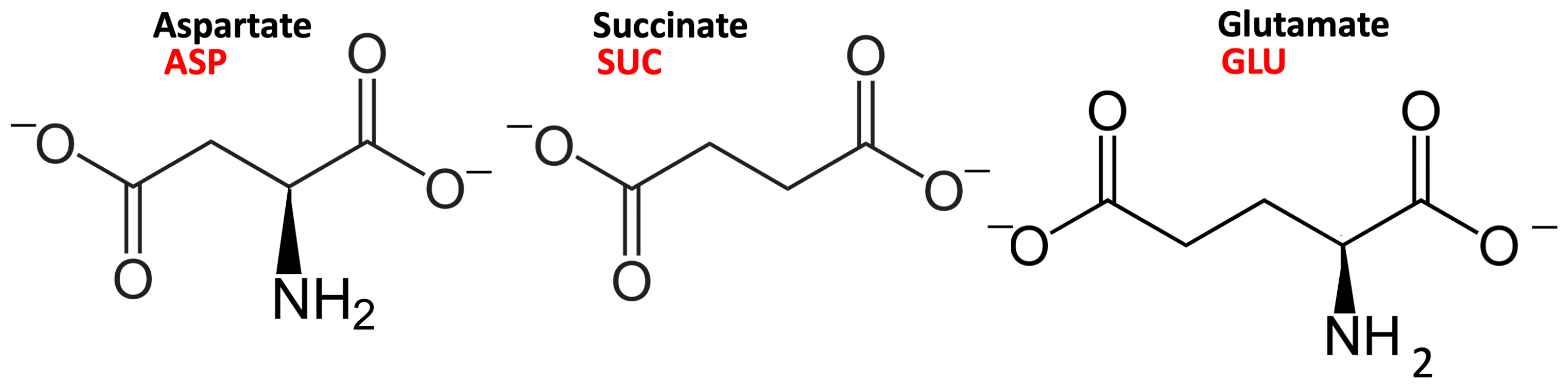 Molecules 29 01853 g001