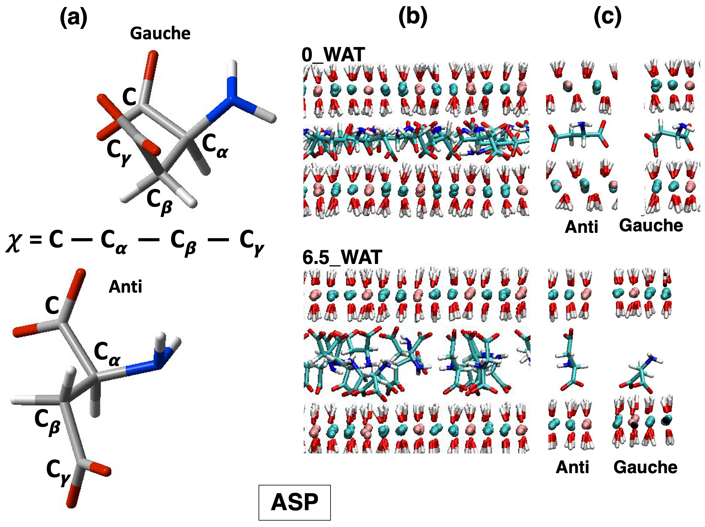 Molecules 29 01853 g004