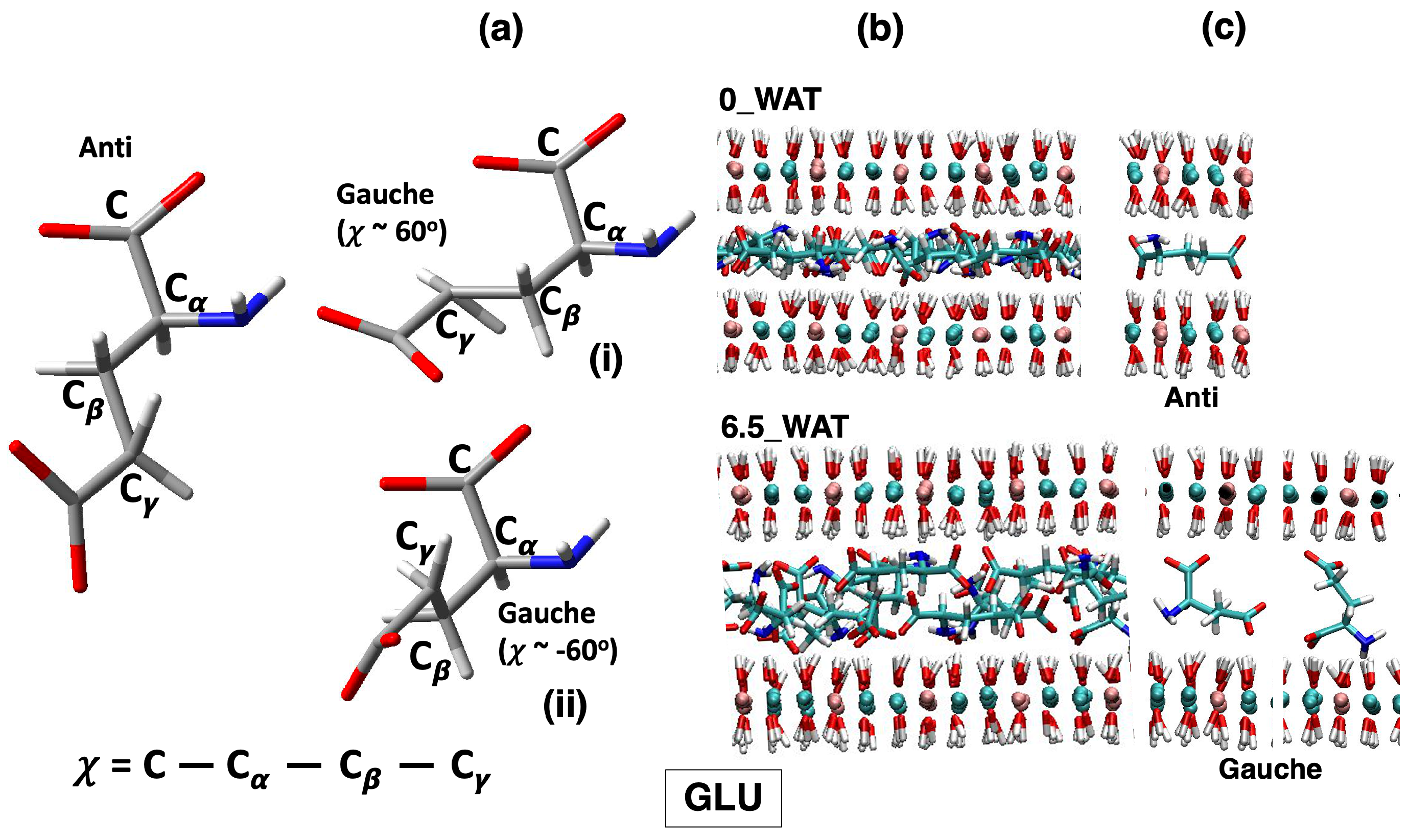 Molecules 29 01853 g005