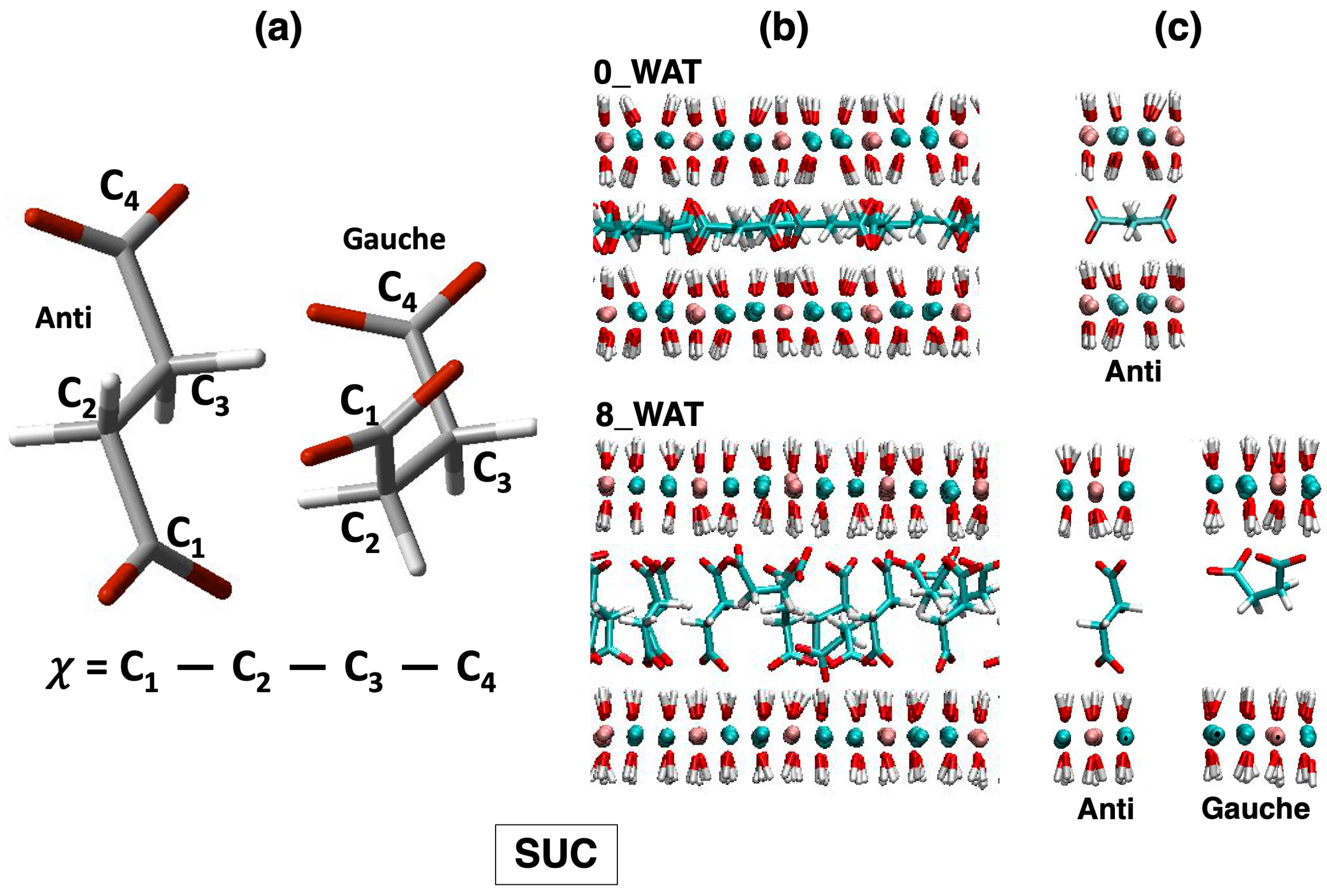 Molecules 29 01853 g006