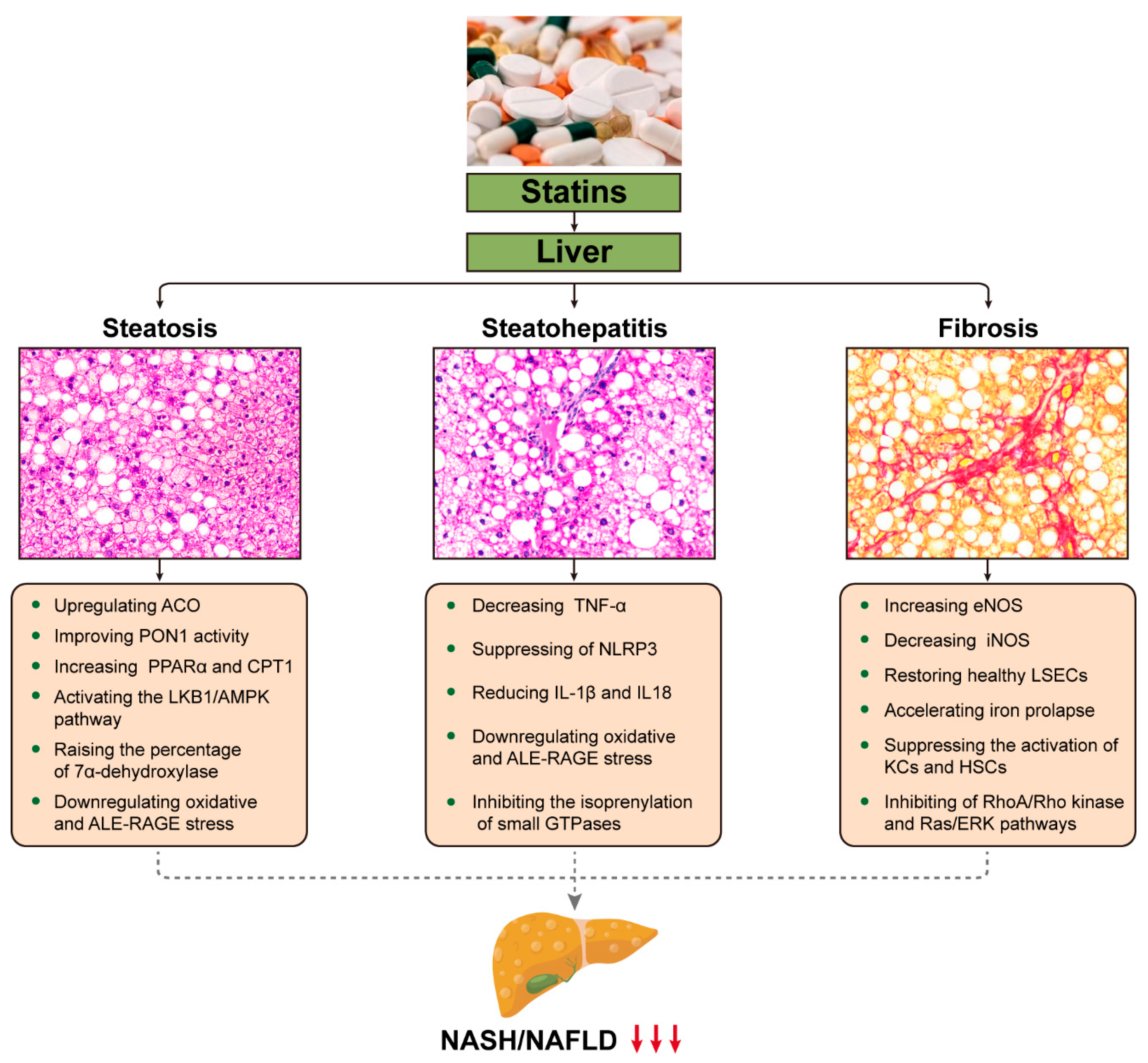 Molecules 29 01859 g002 Molecules 29 01859 g002
