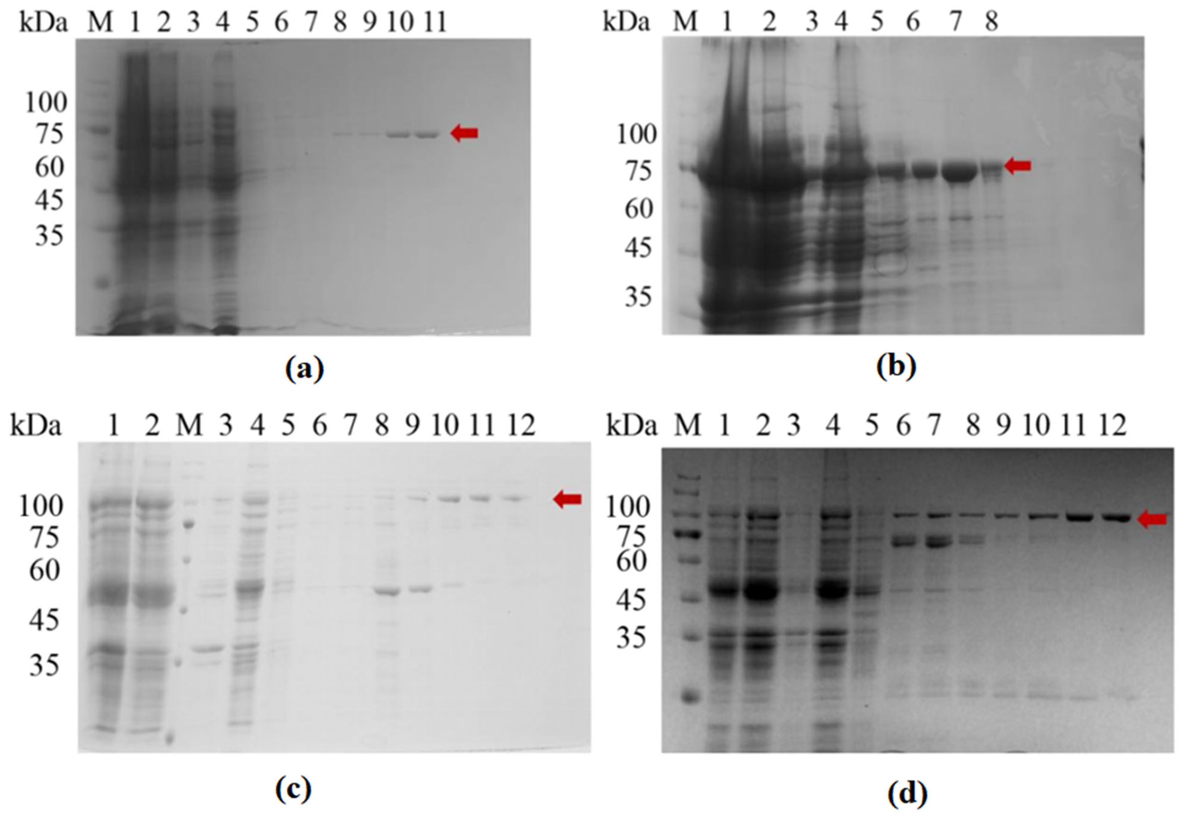 Molecules 29 01861 g001