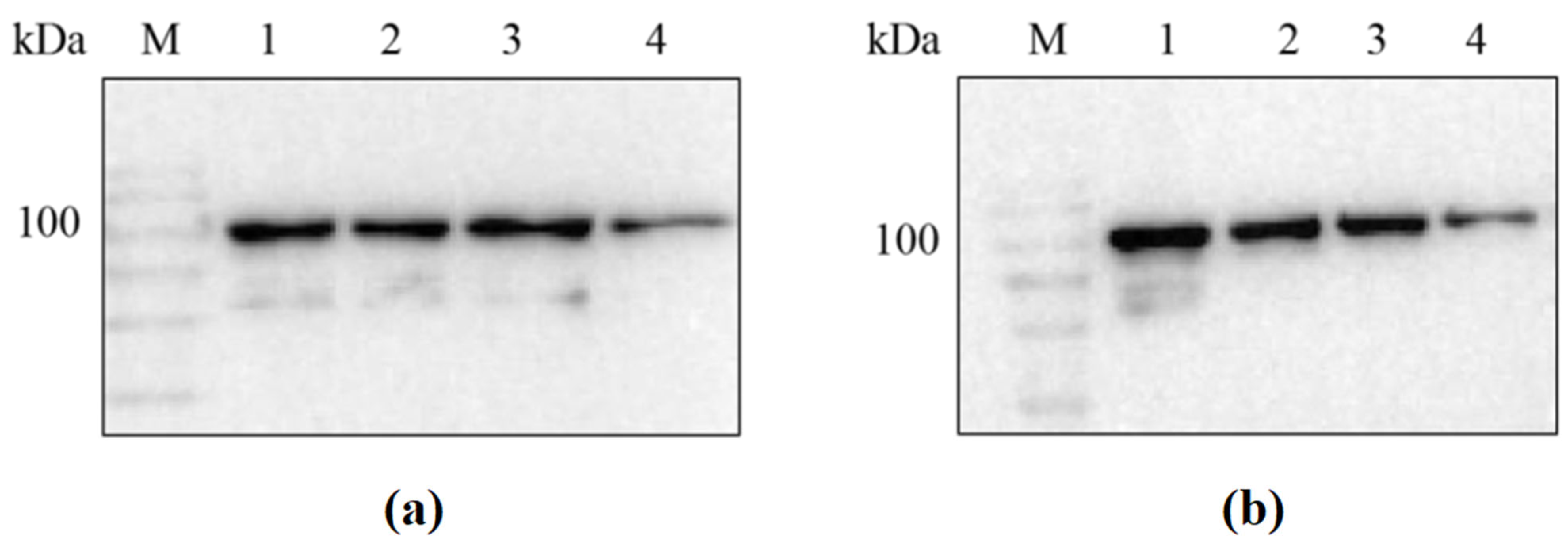 Molecules 29 01861 g002