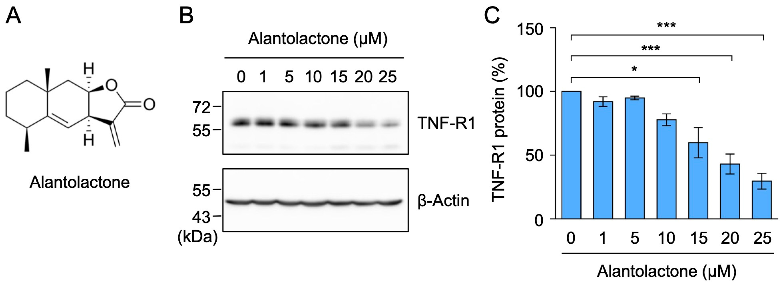 Molecules 29 01866 g001