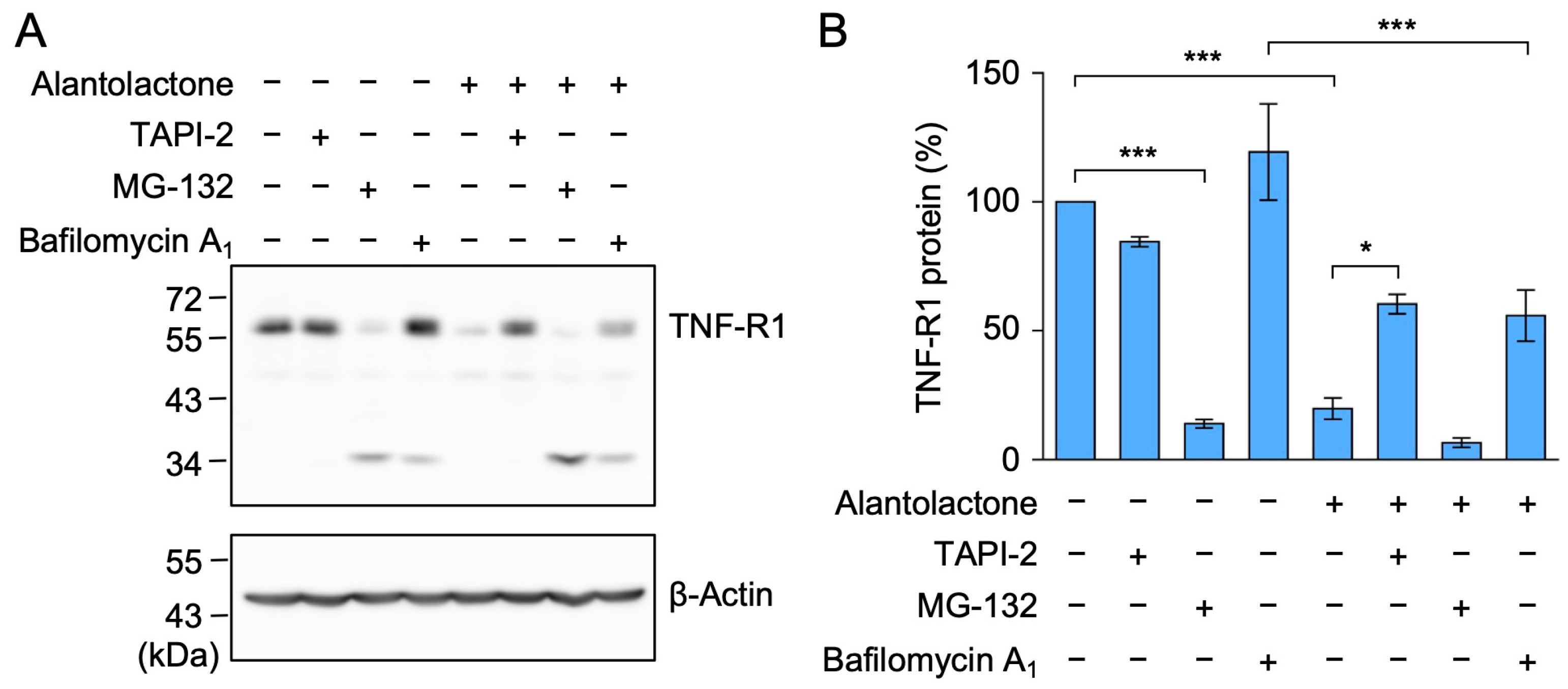 Molecules 29 01866 g004