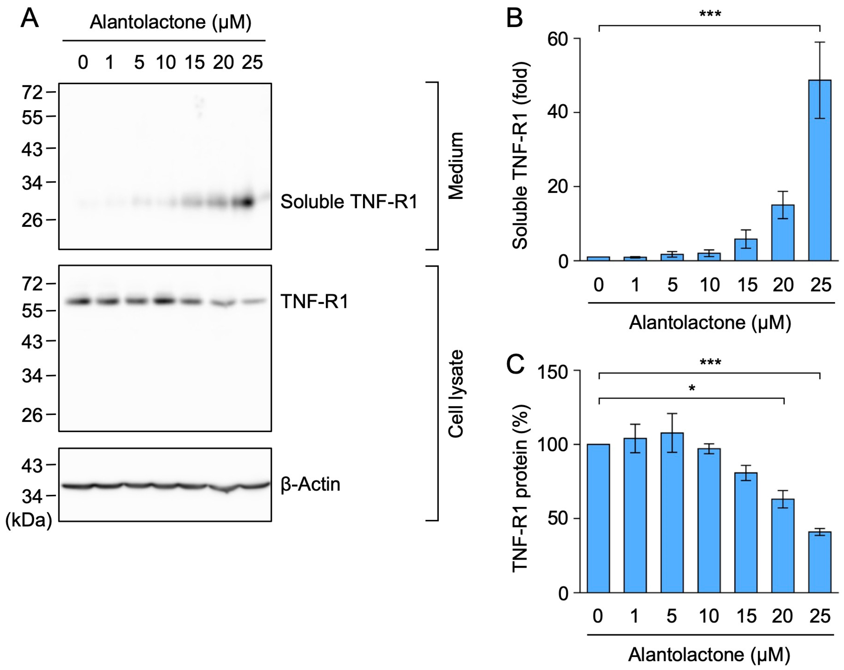 Molecules 29 01866 g005