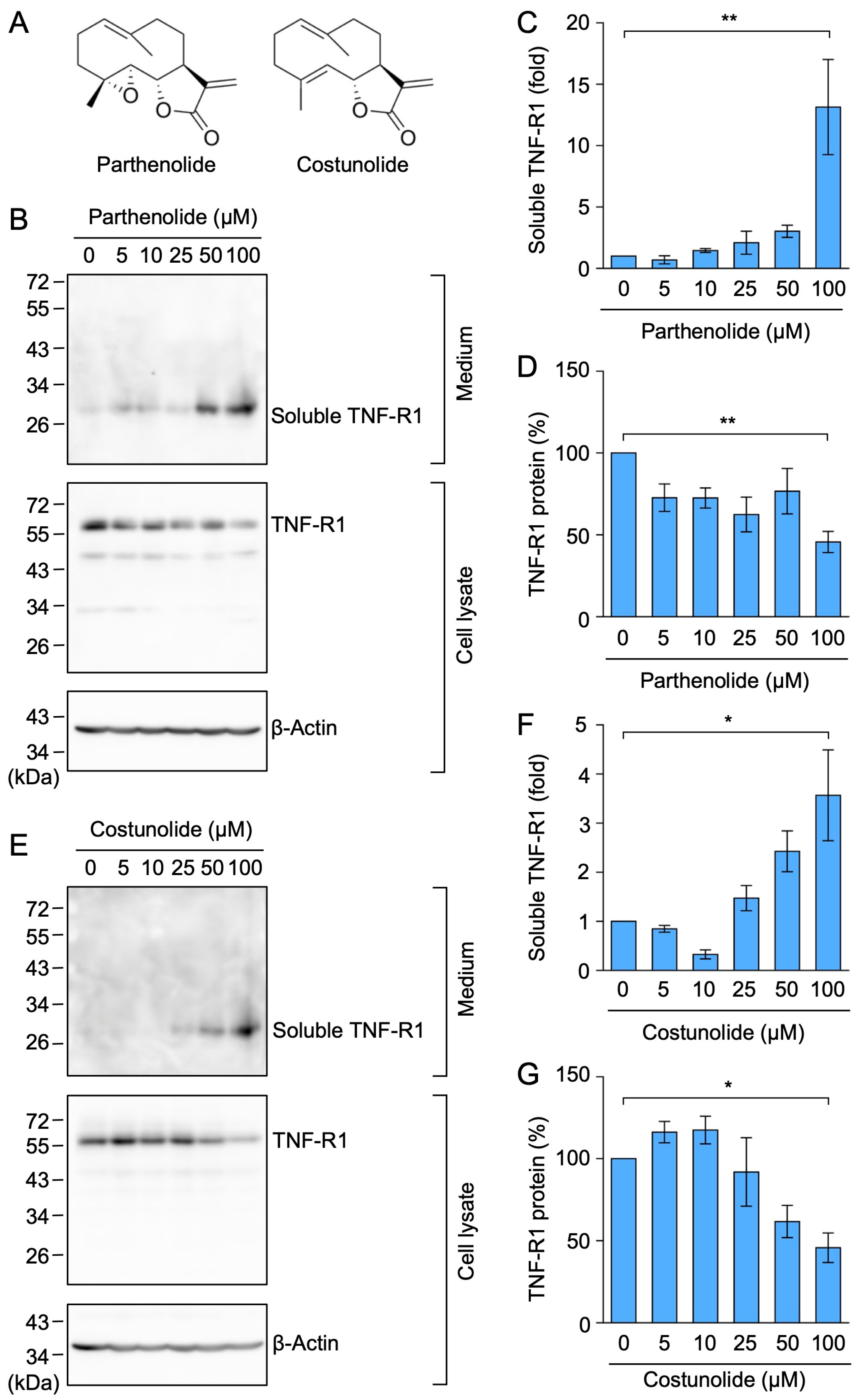 Molecules 29 01866 g009