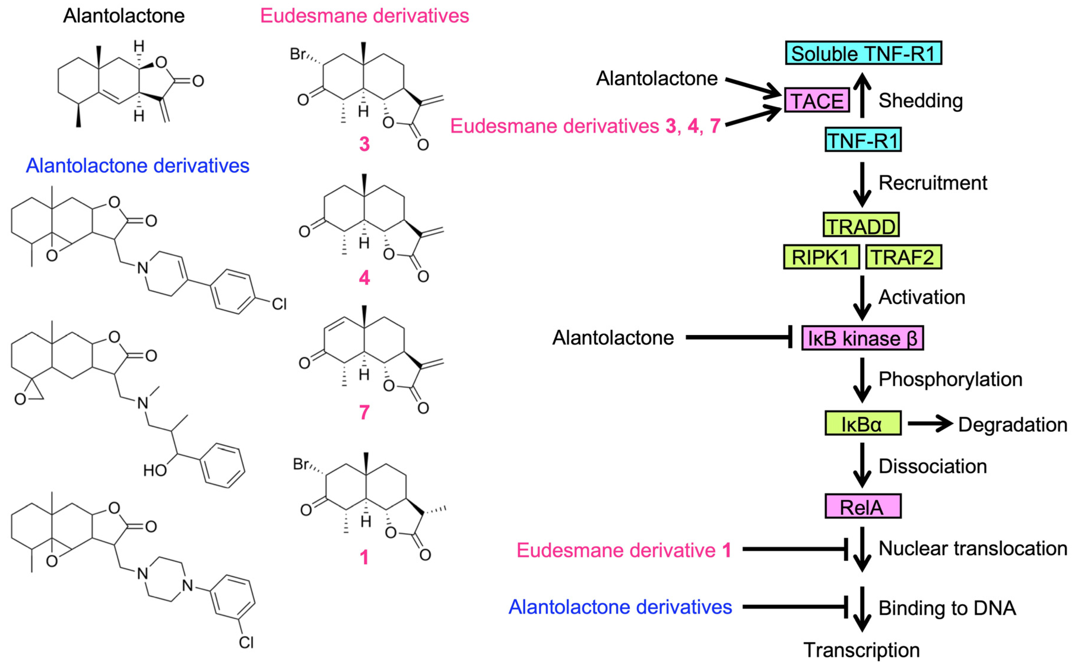 Molecules 29 01866 g010