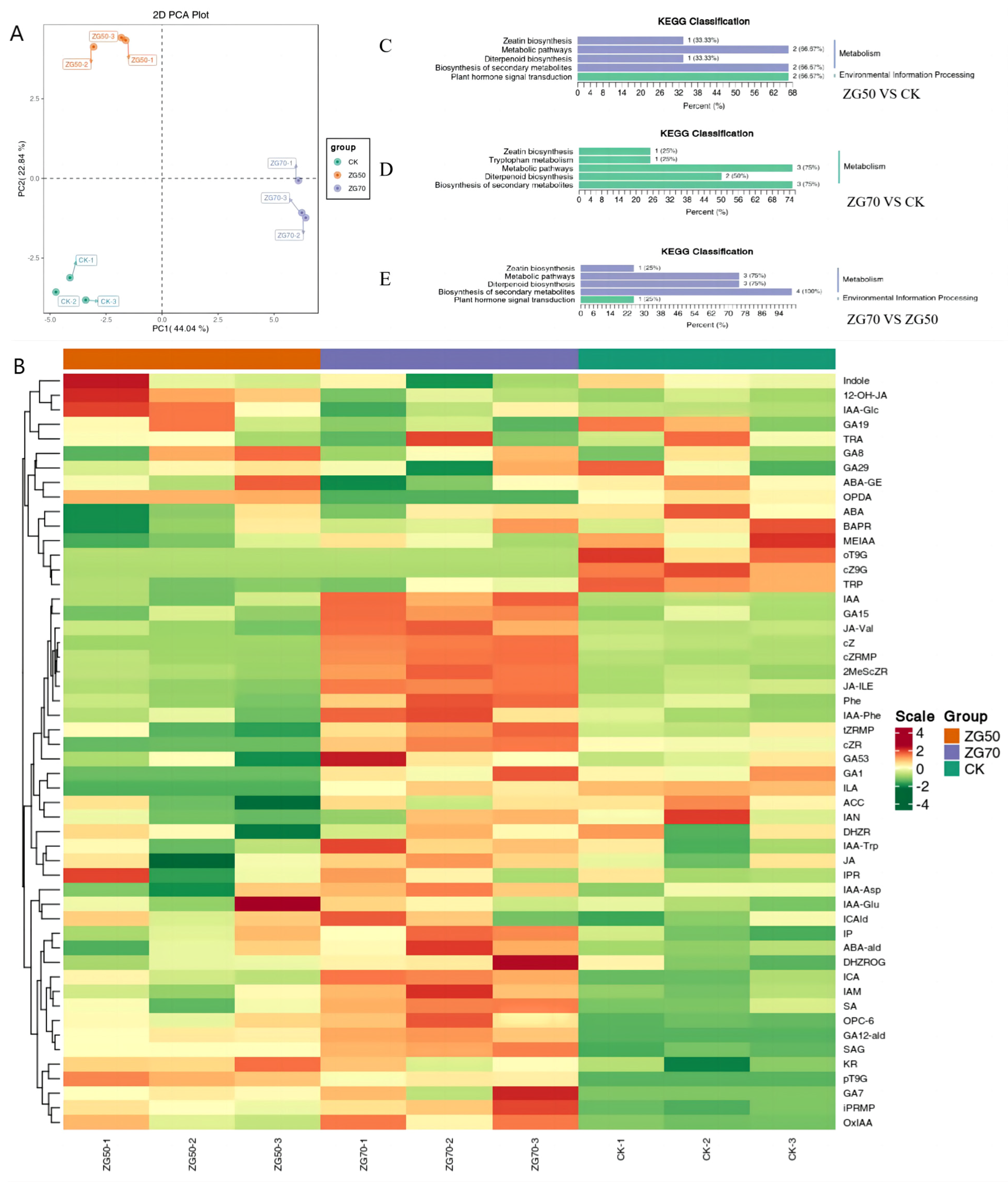 Molecules 29 01877 g002