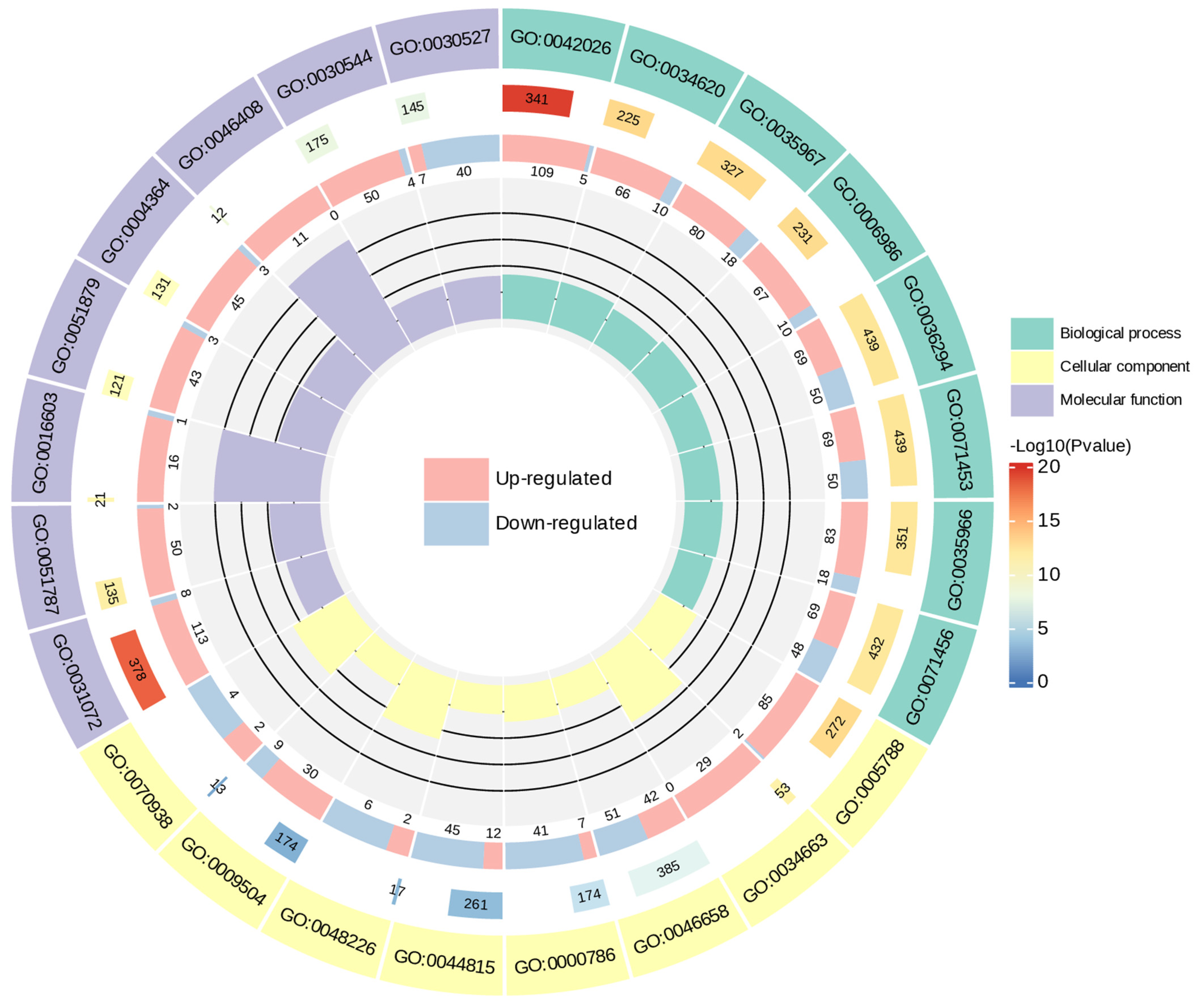 Molecules 29 01877 g005
