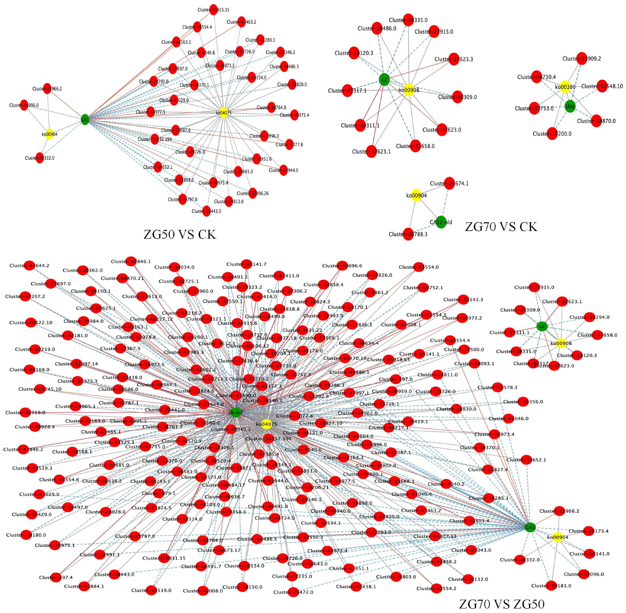 Molecules 29 01877 g007