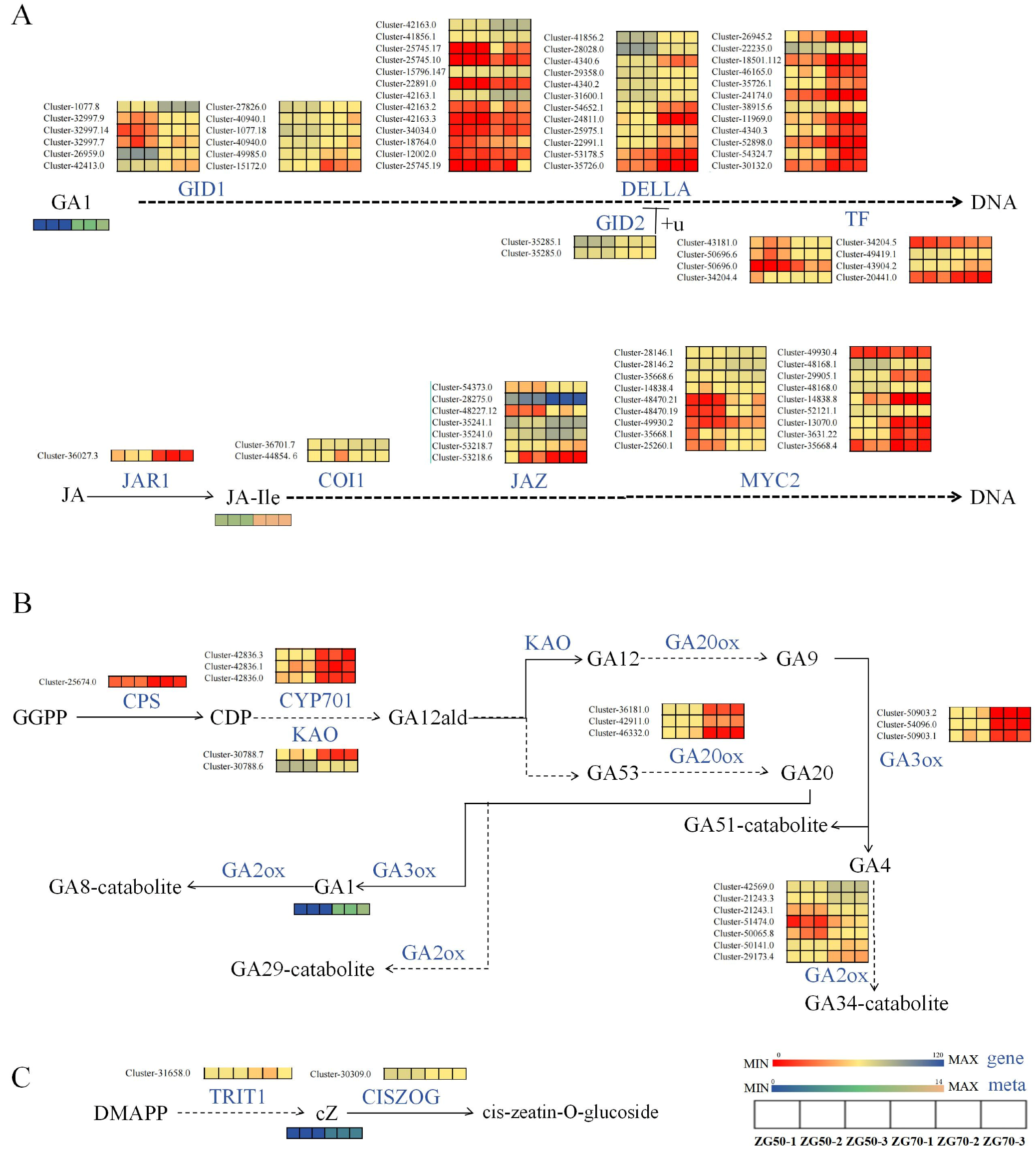 Molecules 29 01877 g010