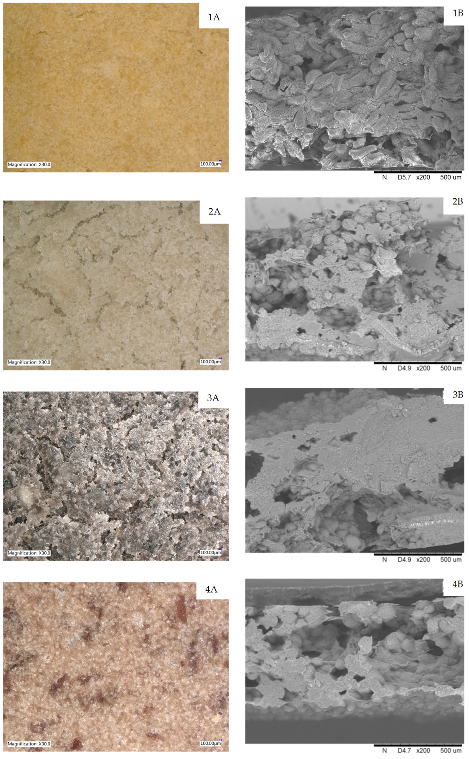 Molecules 29 01880 g003 Molecules 29 01880 g003
