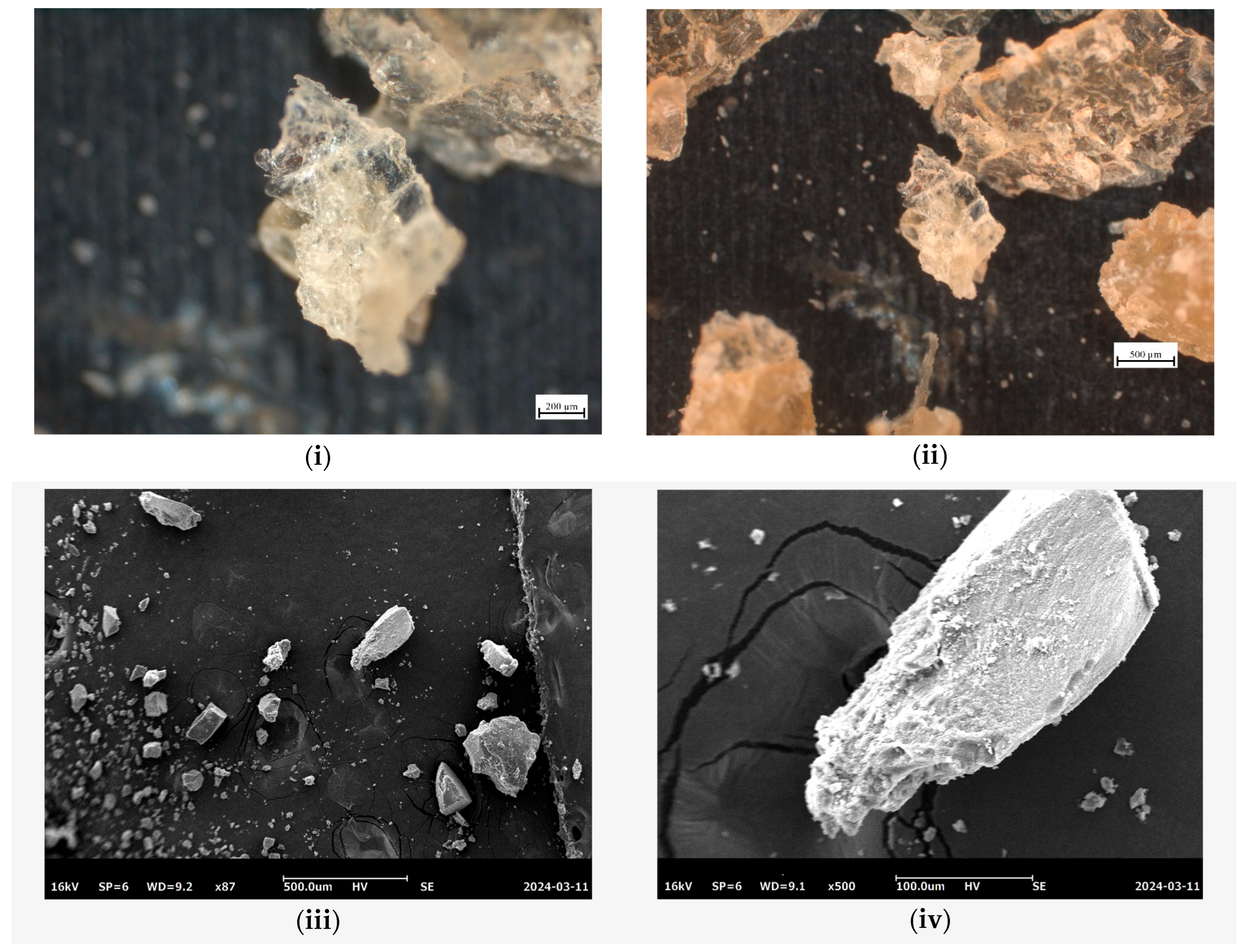 Molecules 29 01884 g005