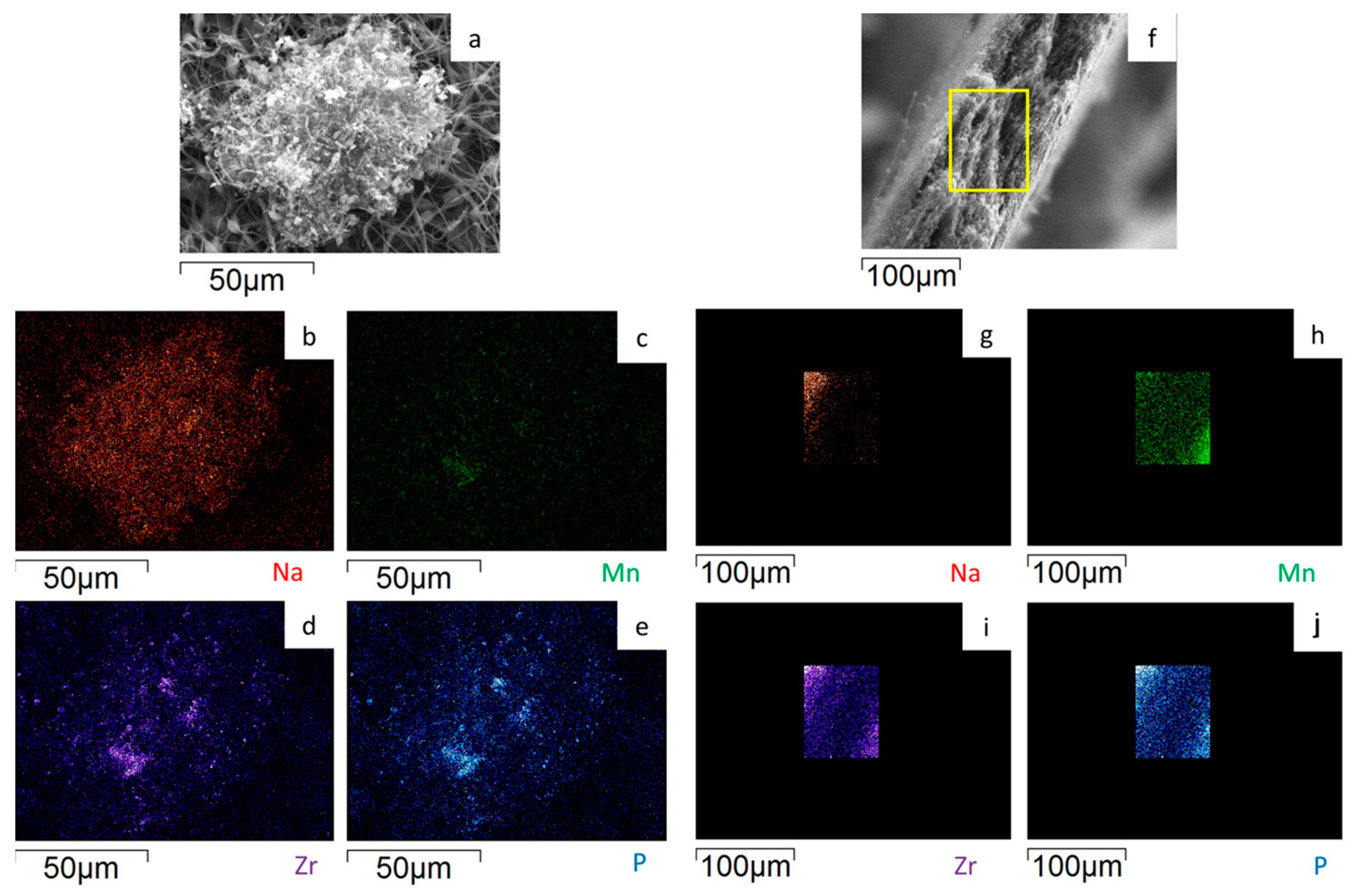 Molecules 29 01885 g010