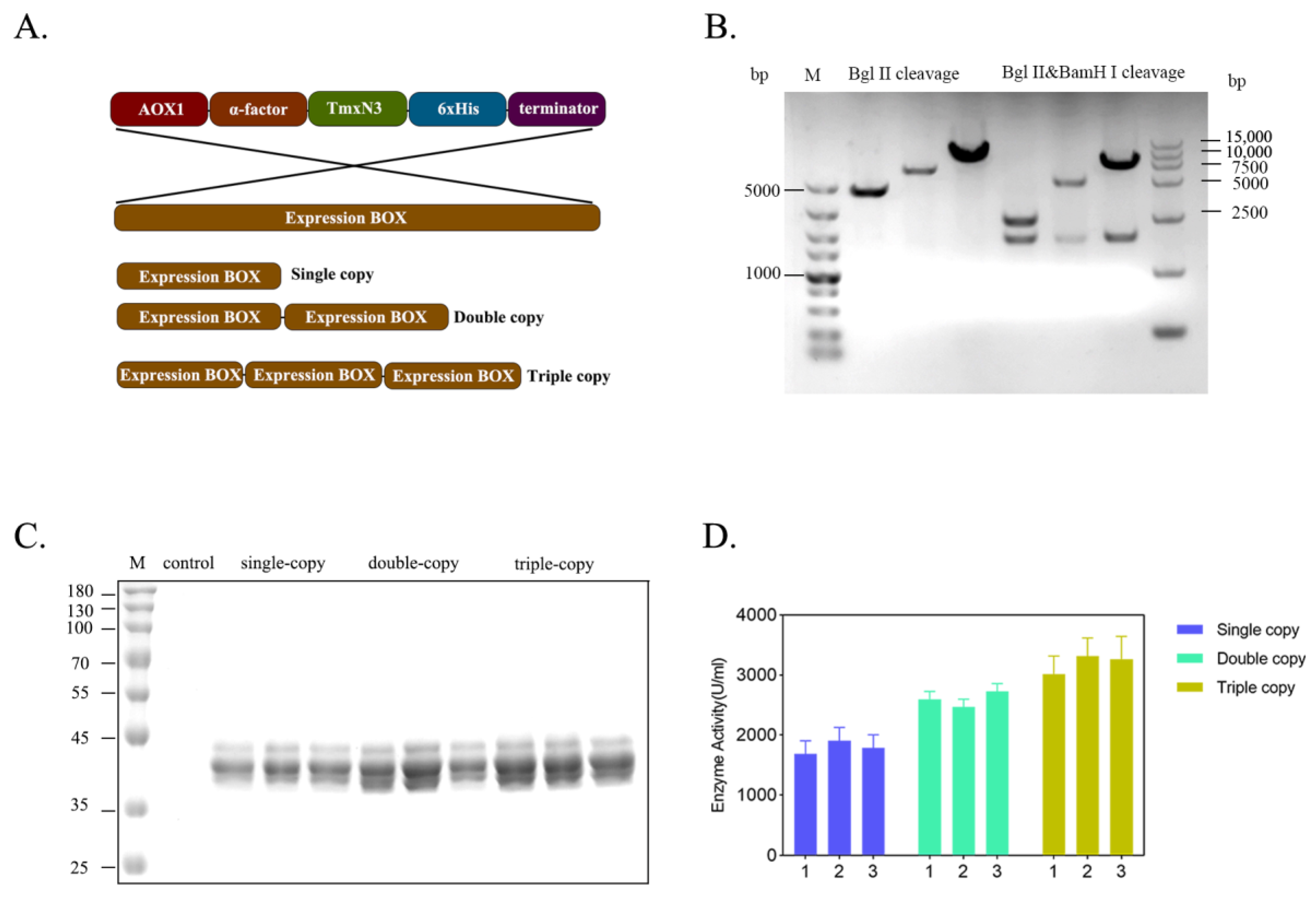 Molecules 29 01895 g004