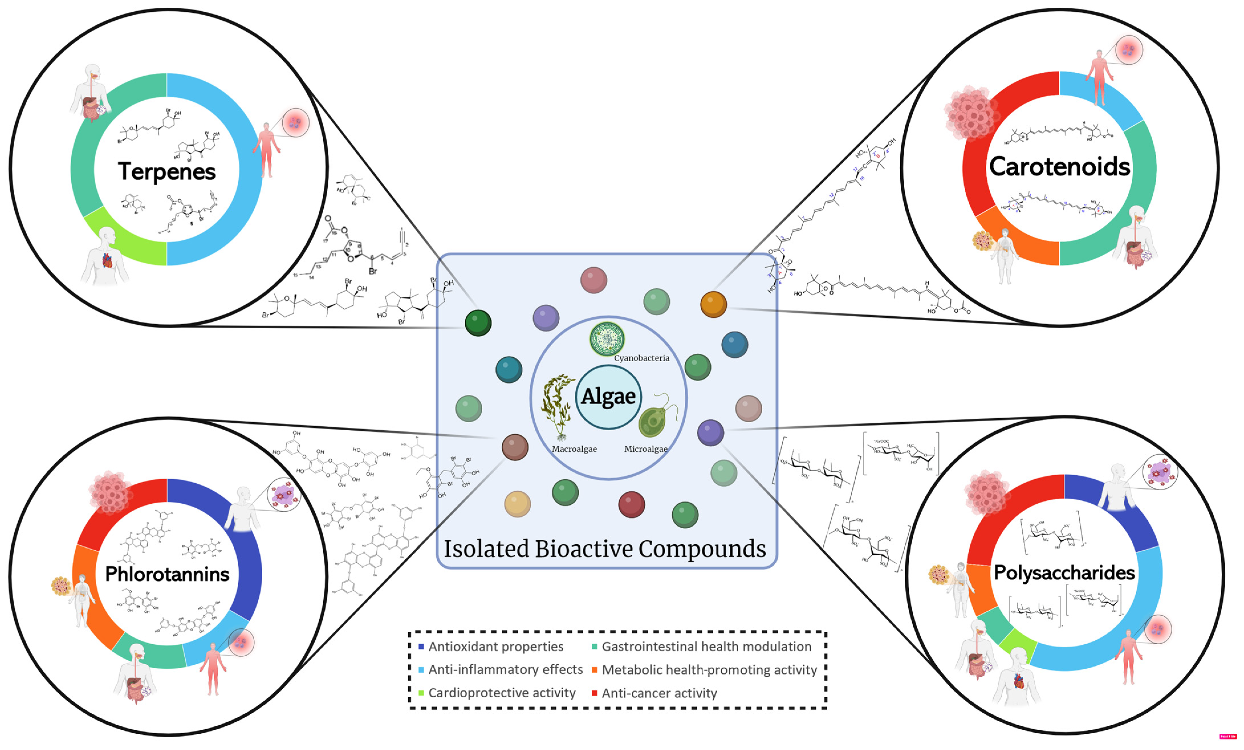 Molecules 29 01900 g002