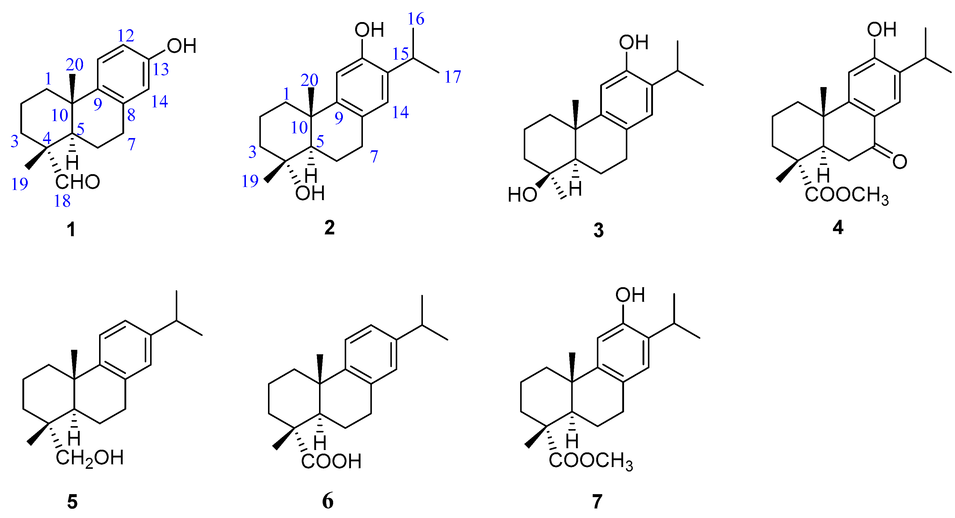 Molecules 29 01905 g001 Molecules 29 01905 g001