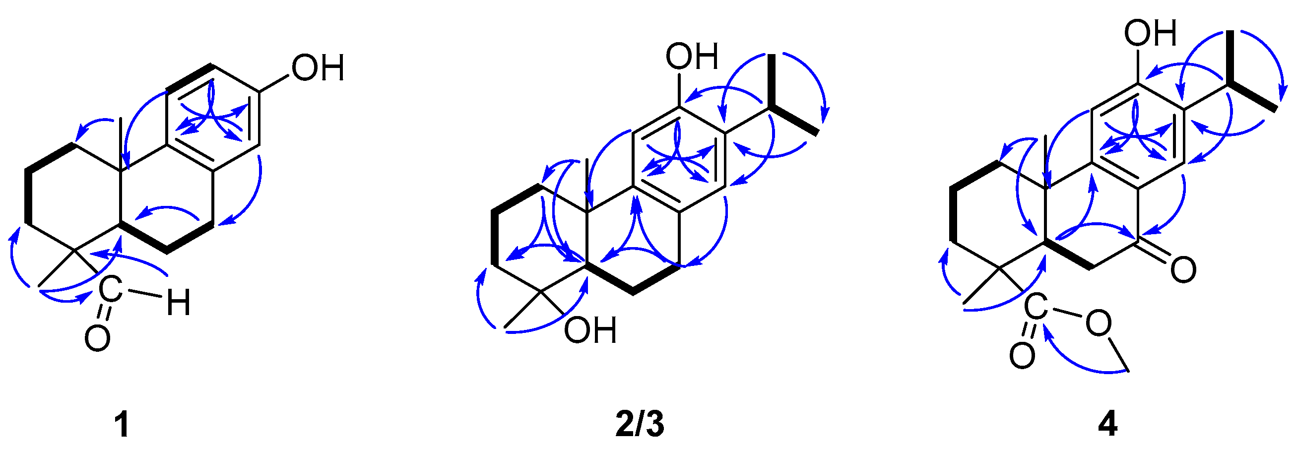 Molecules 29 01905 g002 Molecules 29 01905 g002