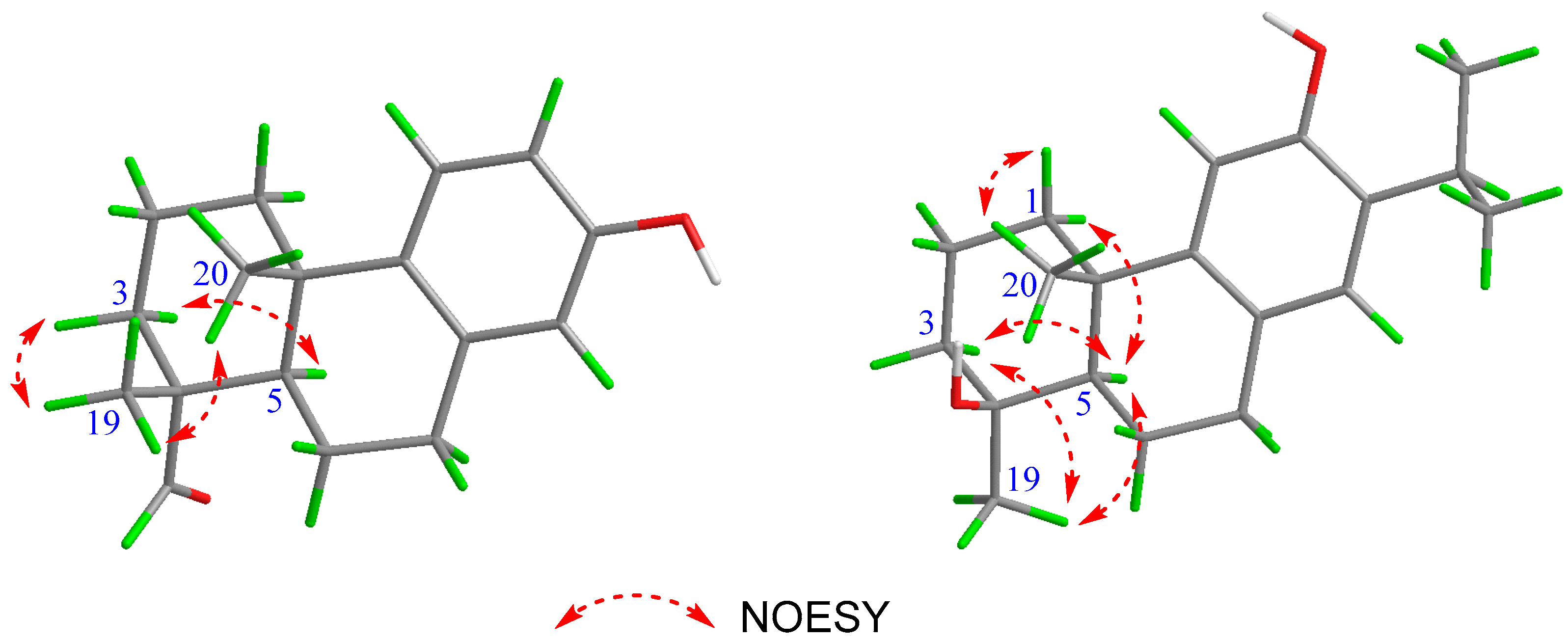 Molecules 29 01905 g003 Molecules 29 01905 g003