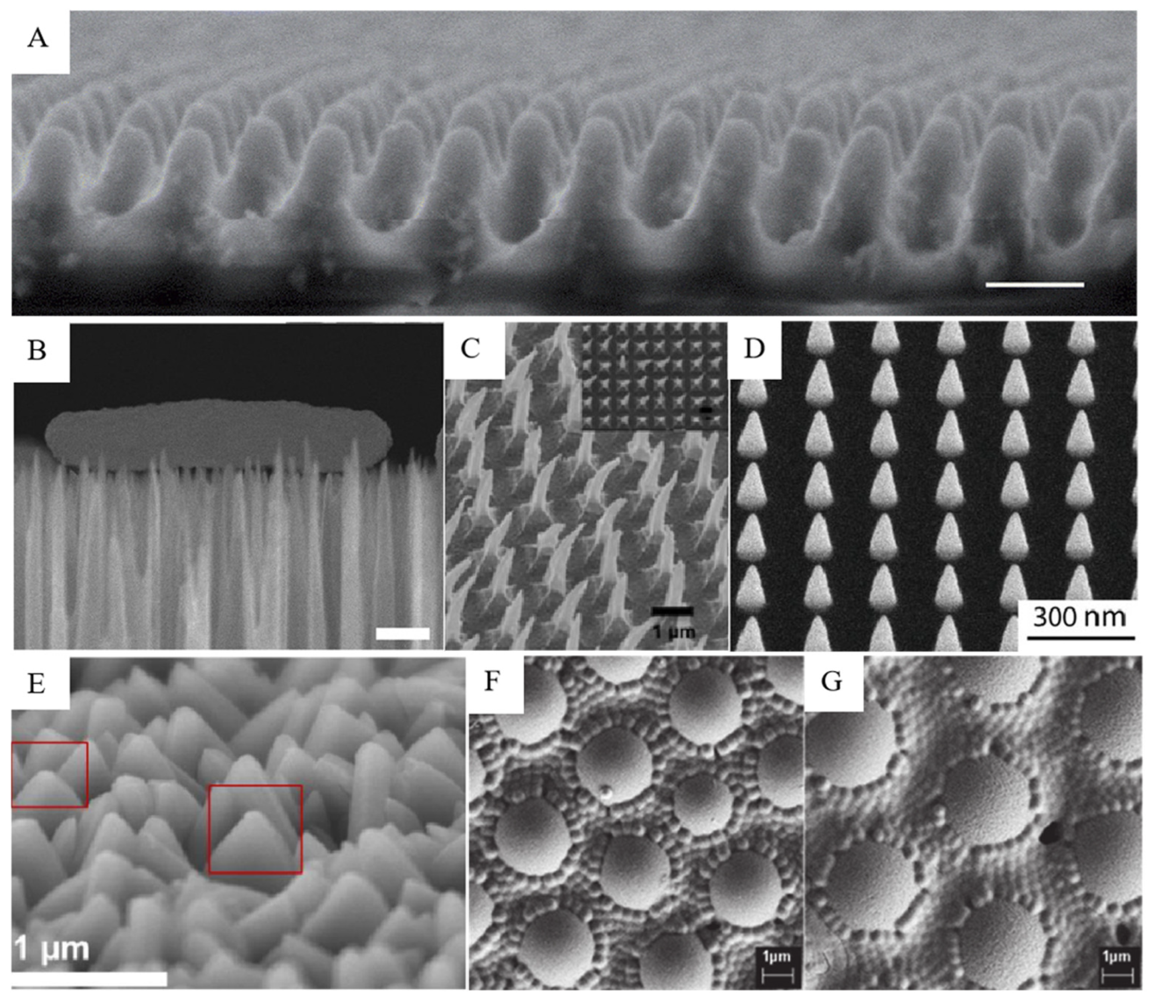 Molecules 29 01906 g002