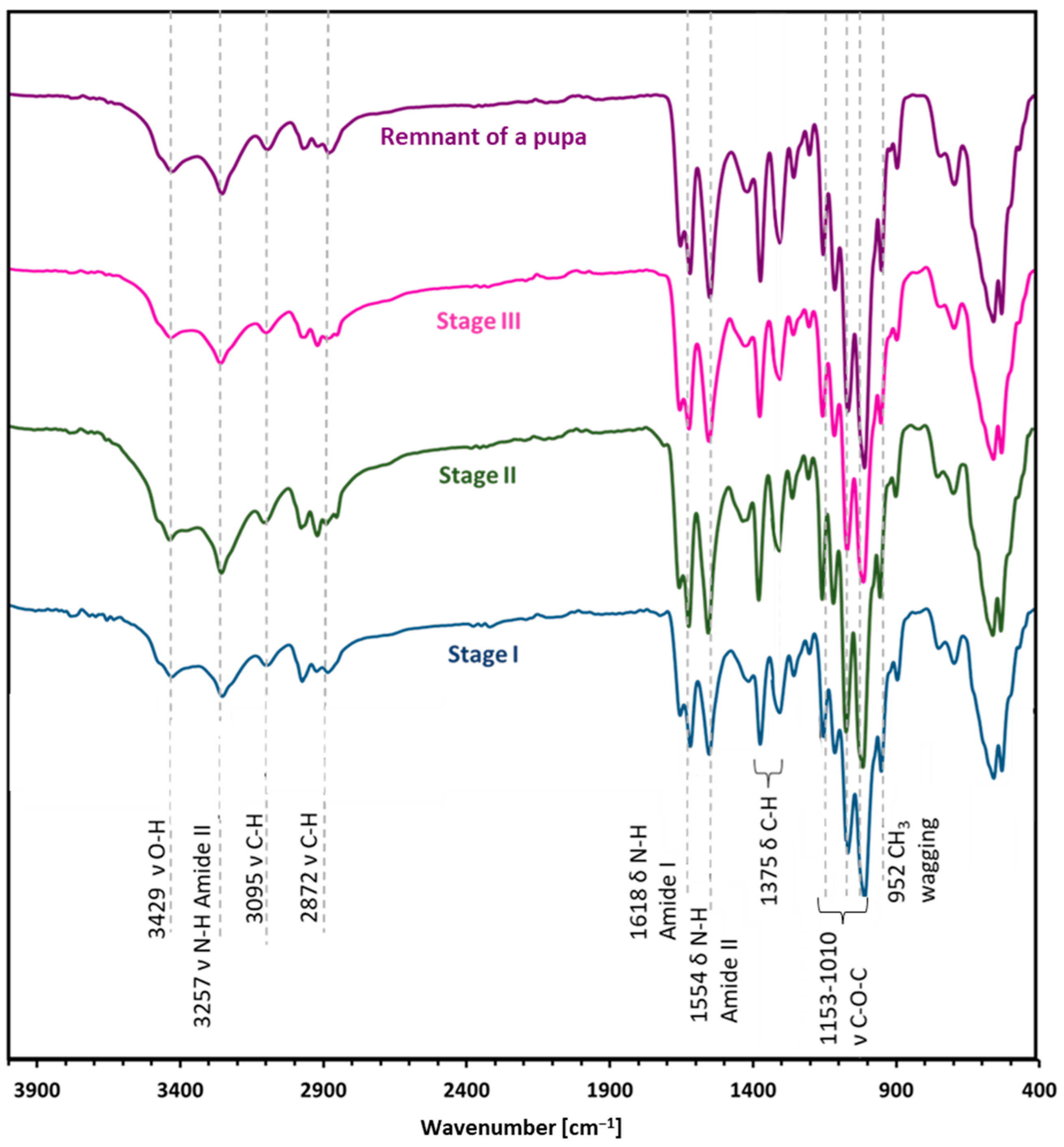 Molecules 29 01914 g004